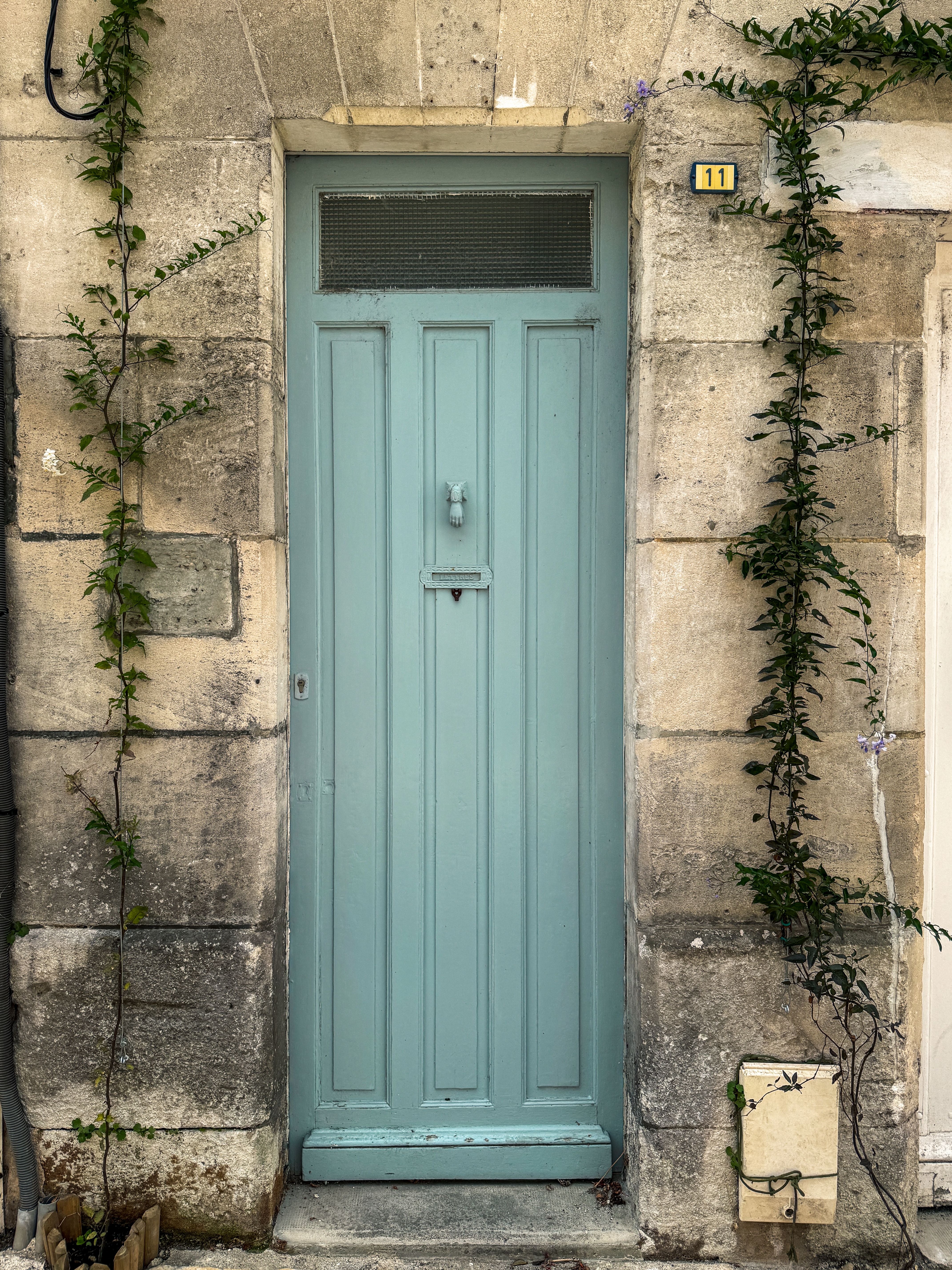 A picturesque blue door framed by ivy in Cognac, France, exuding vintage charm.