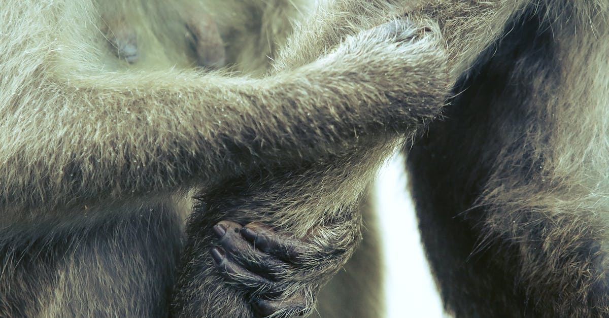 新公司債發行突破1兆美元 市場熱度持續攀升