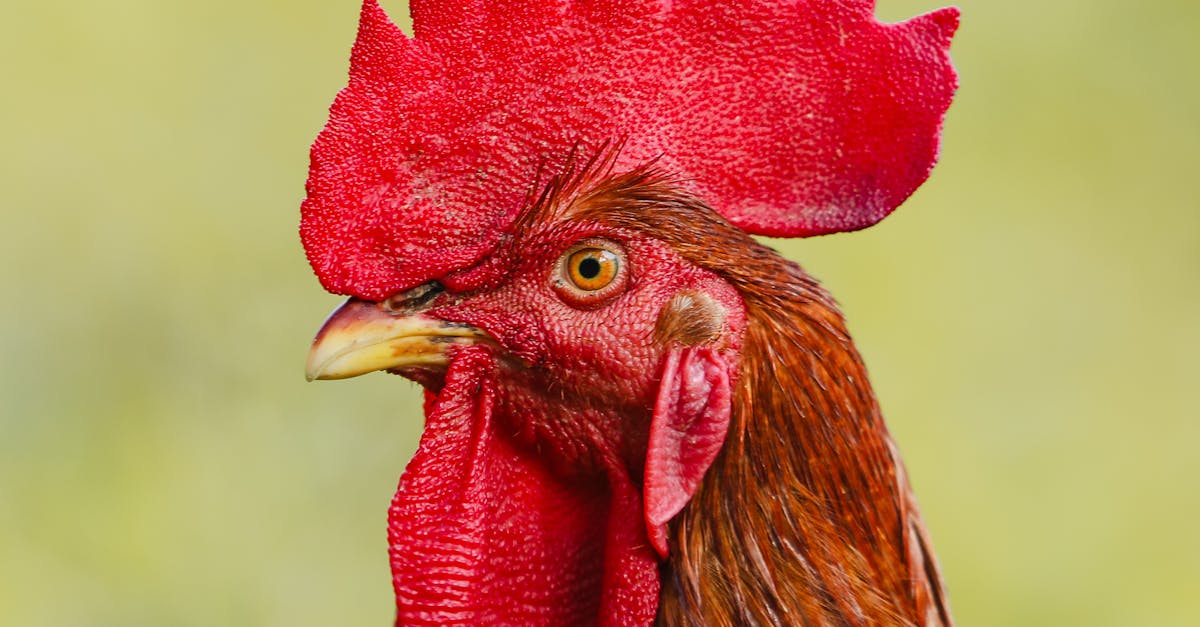 財經青紅燈 偏鄉空城化危機大揭密 人口流失怎麼救