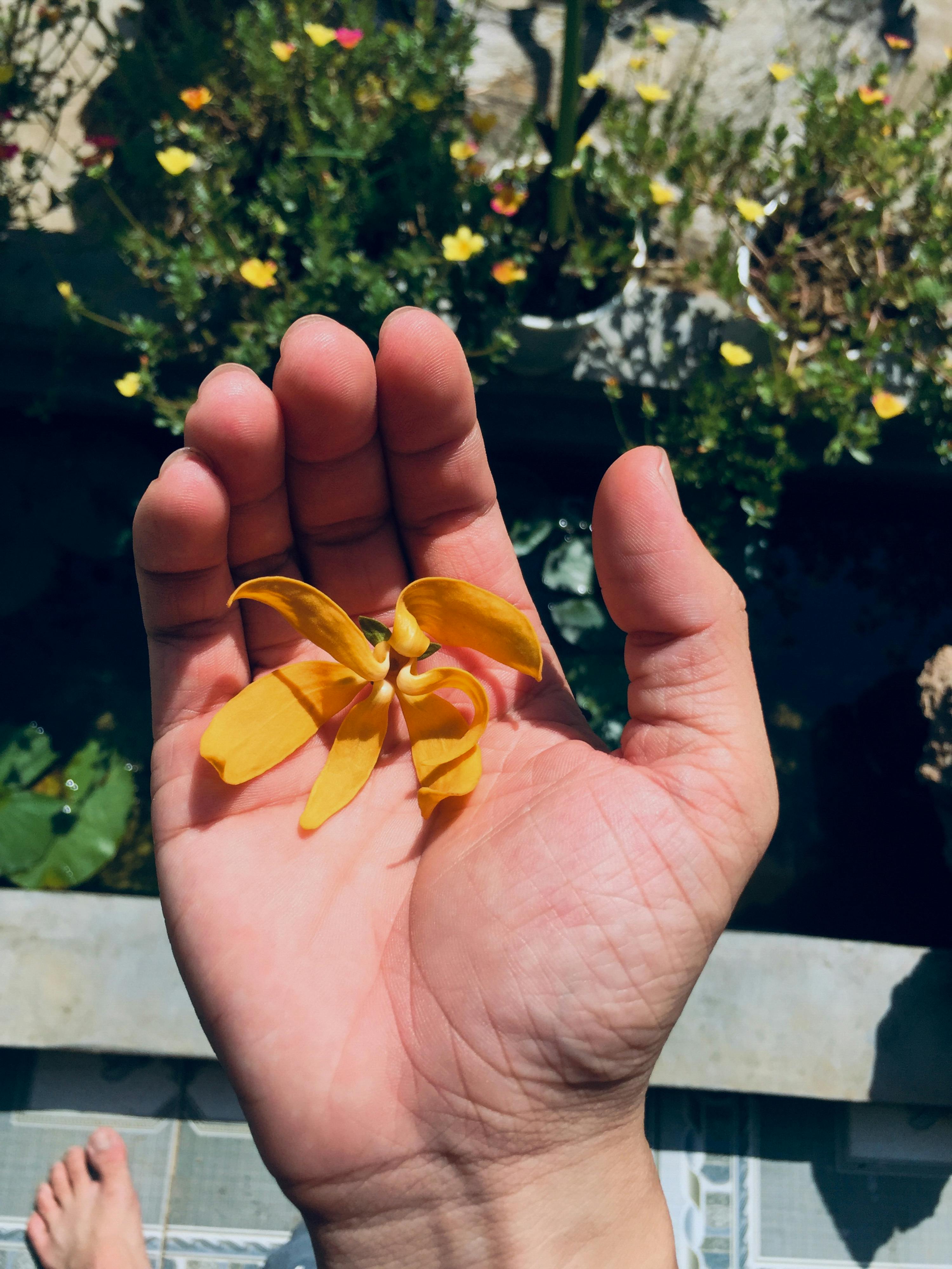 Trung tâm nghiên cứu văn học, phát triển nhà văn Việt Nam