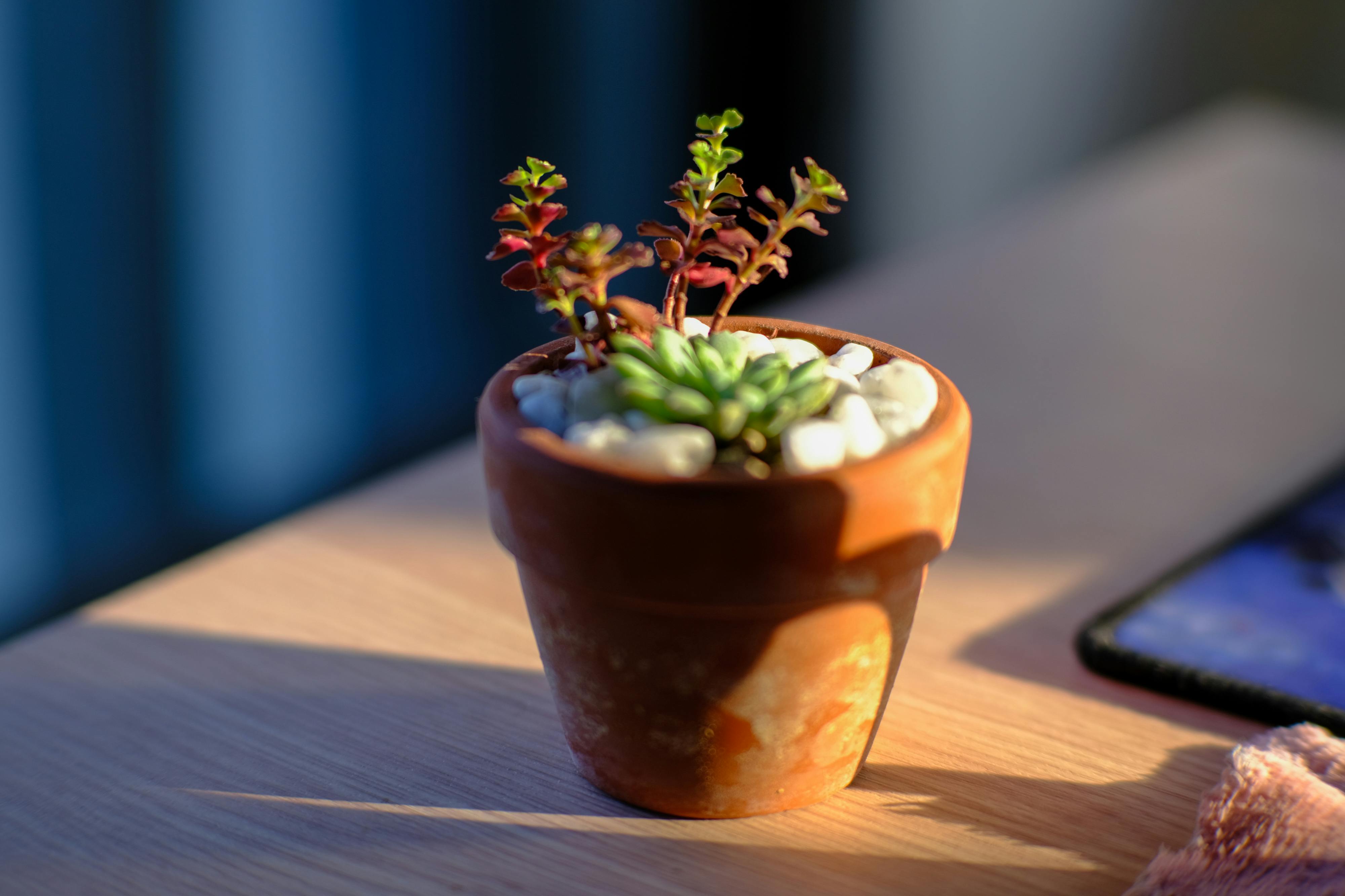 Trung tâm nghiên cứu văn học, phát triển nhà văn Việt Nam