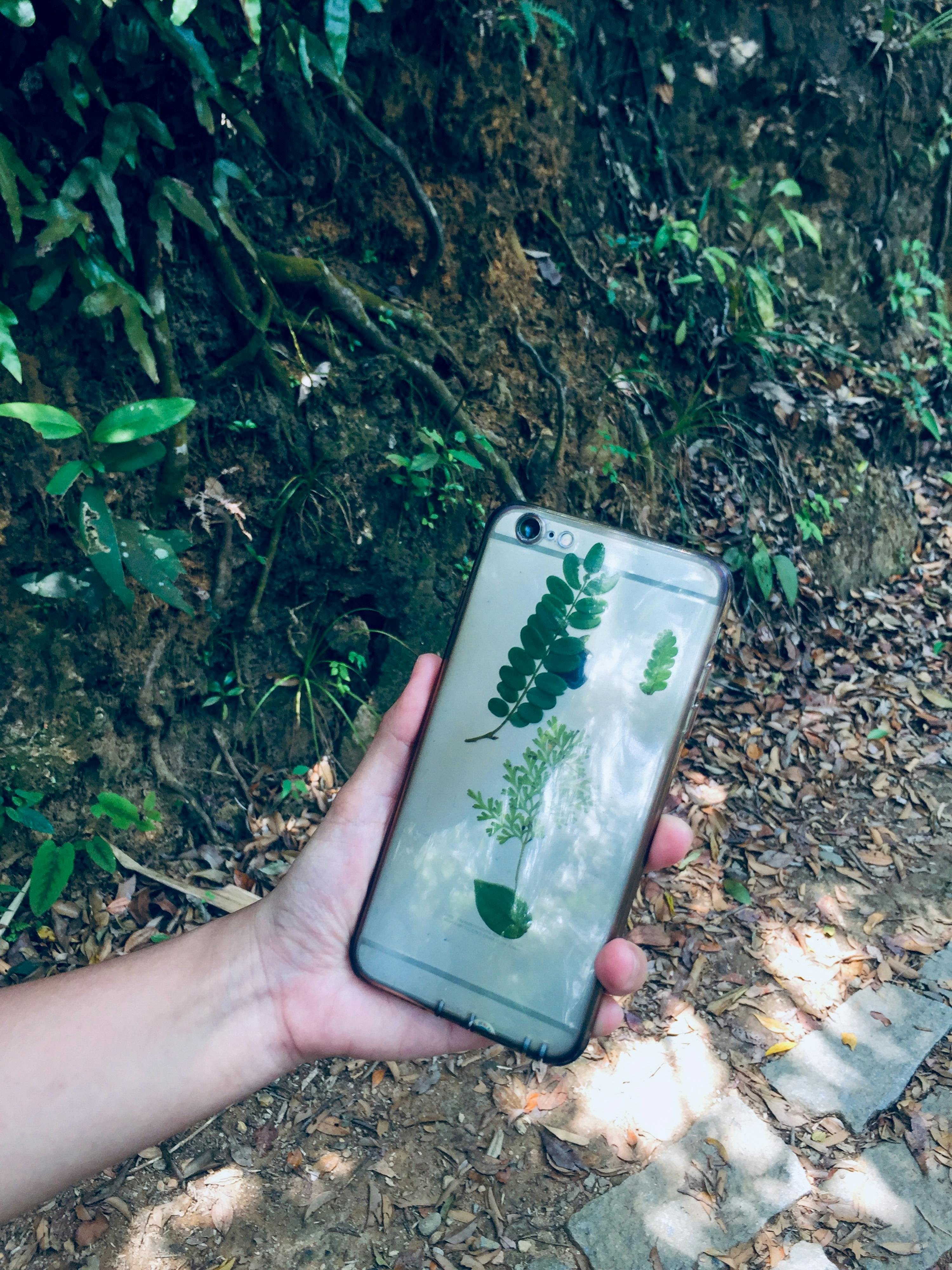 Trung tâm nghiên cứu văn học, phát triển nhà văn Việt Nam