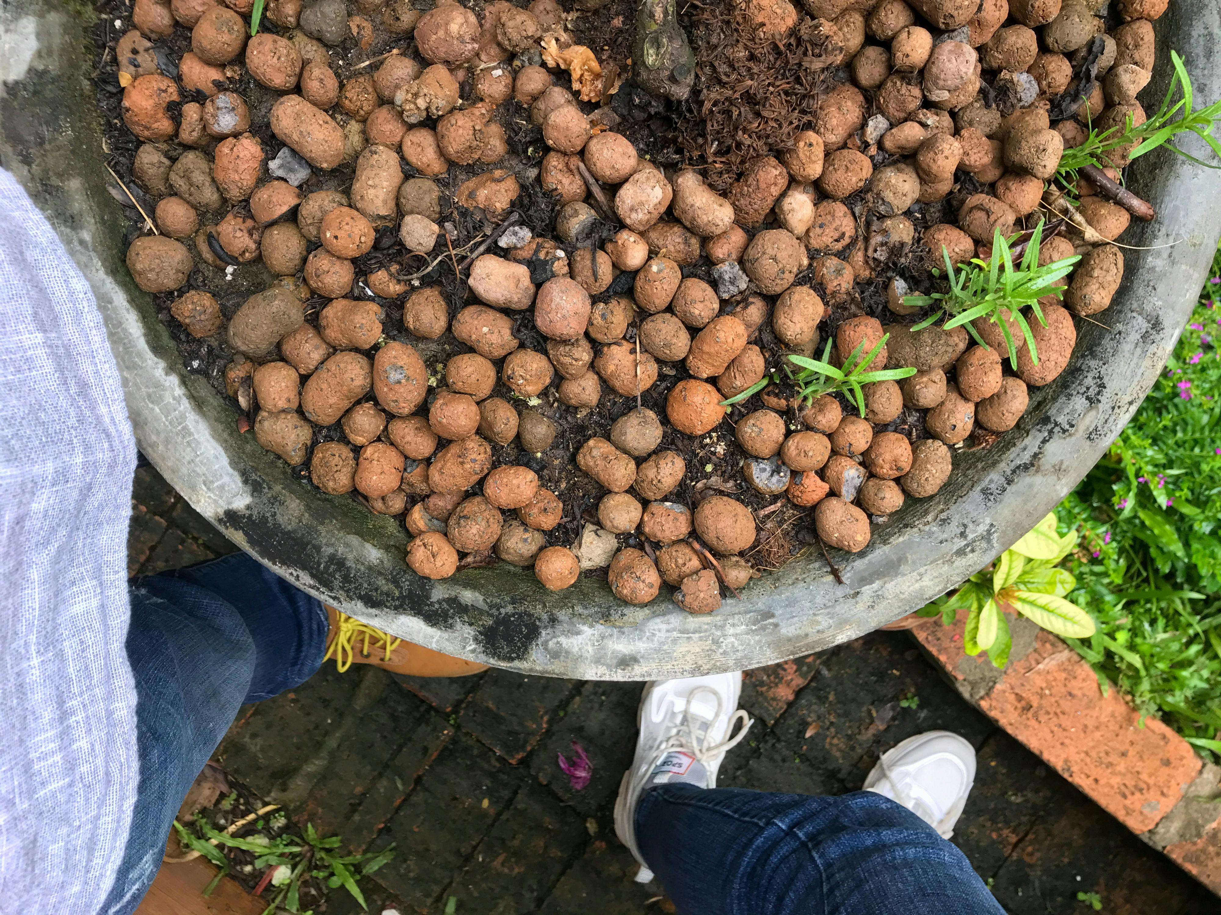 Trung tâm nghiên cứu văn học, phát triển nhà văn Việt Nam