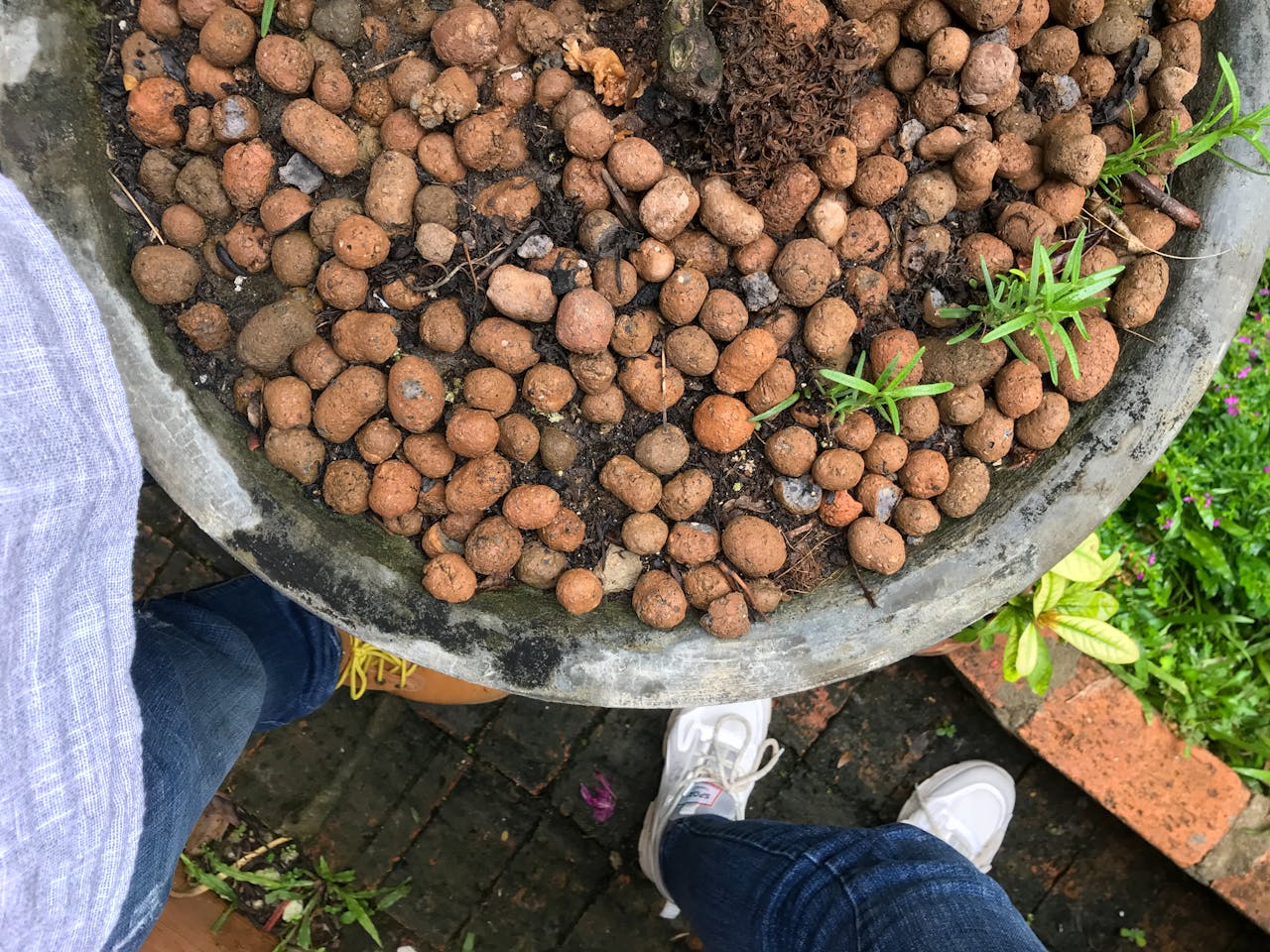 Thám tử lừng danh Conan | Chương 0863