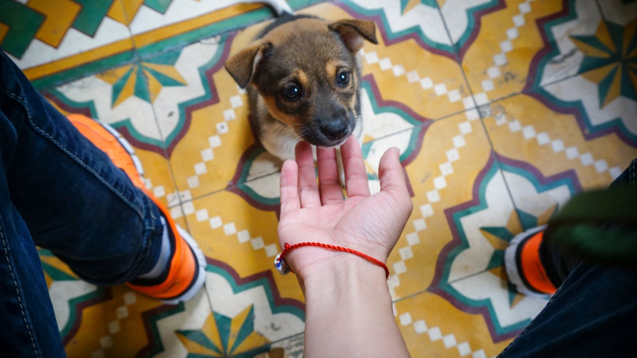 Các thiên tài trong lịch sử đã kiếm tiền như thế nào?