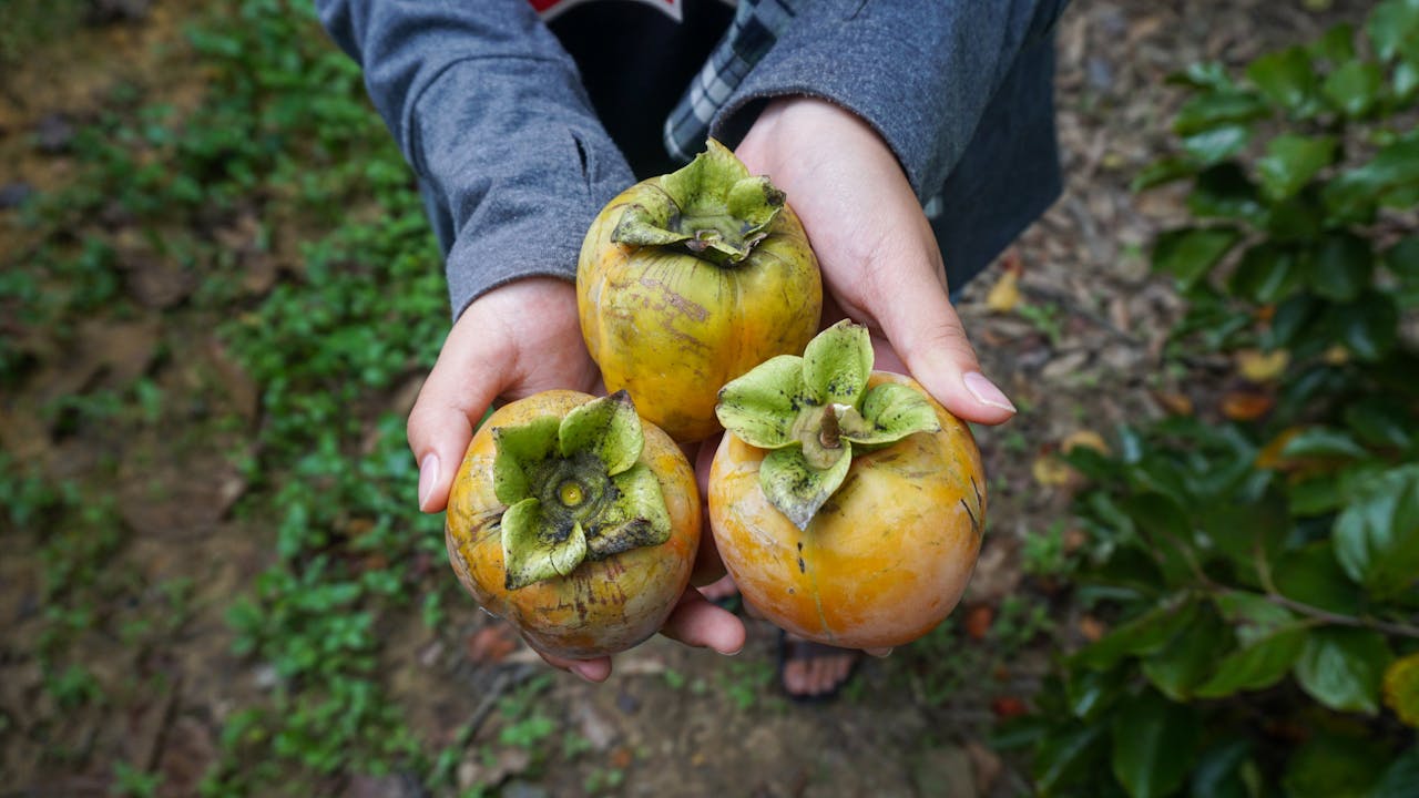 Cẩm nang du lịch Ba Bể