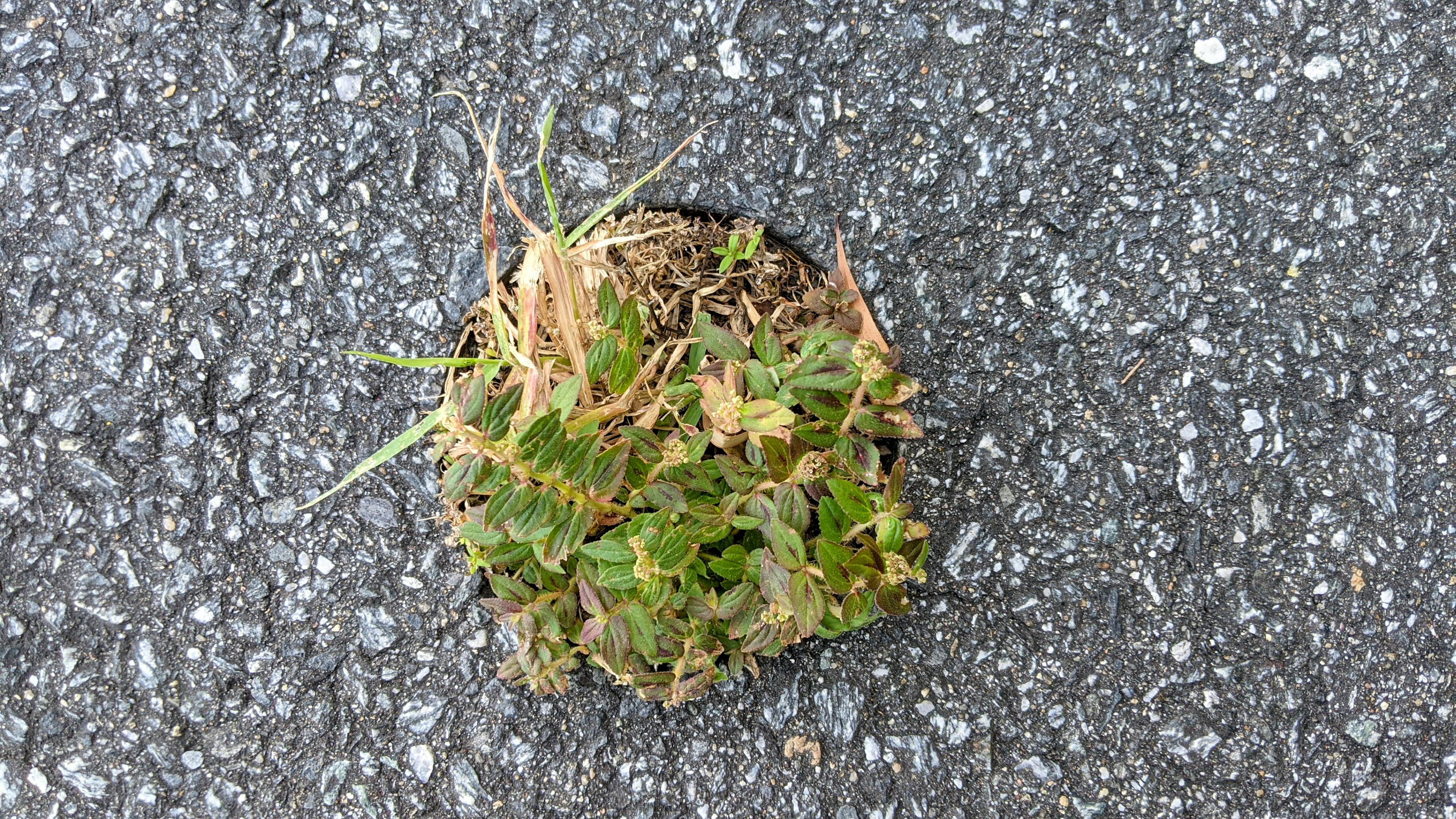 Trung tâm nghiên cứu văn học, phát triển nhà văn Việt Nam