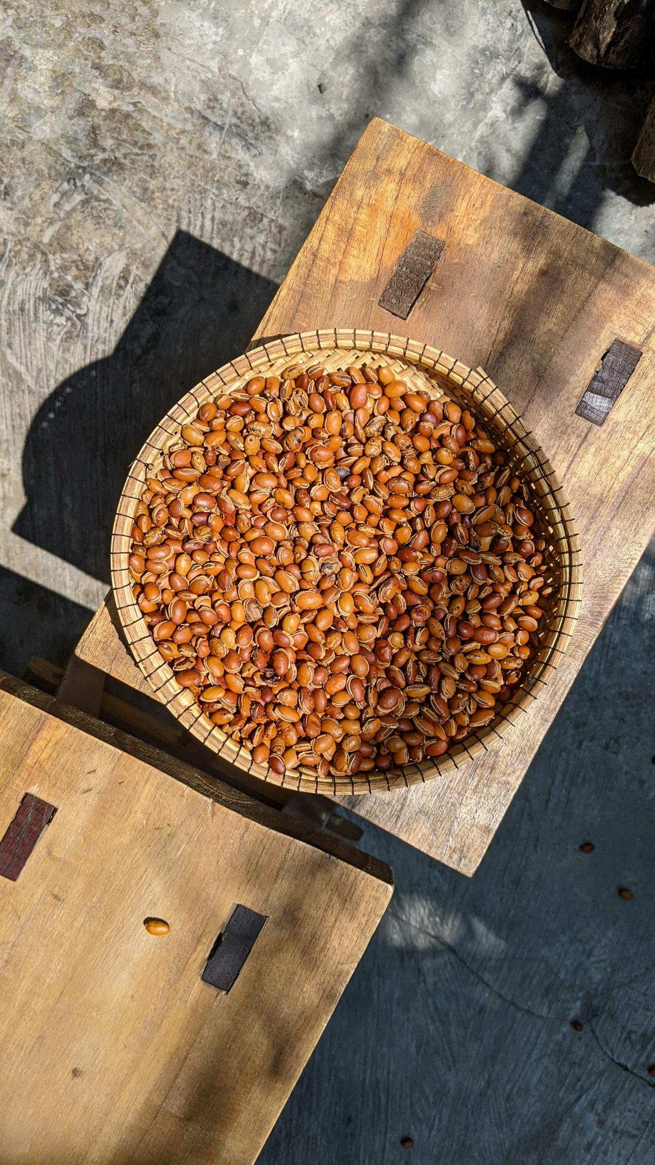 Thiền hành yếu chỉ | Lời nói đầu