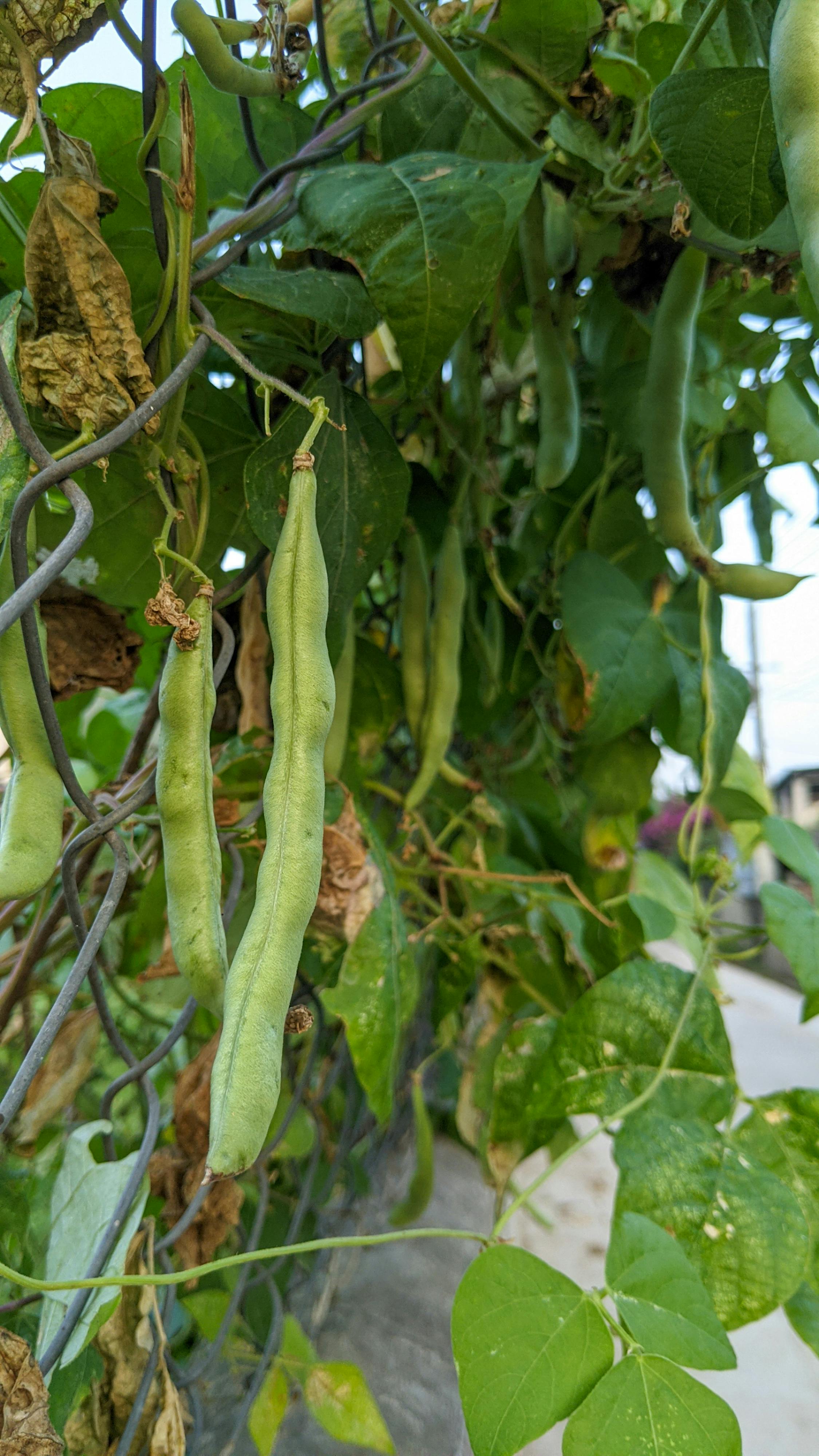 Cốt truyện là gì? 633 – viet lach, ky nang viet, cai thien ky nang viet lach, lam chu nghe thuat viet lach, hanh trinh viet, writing process, cot truyen, cot truyen viet lach.