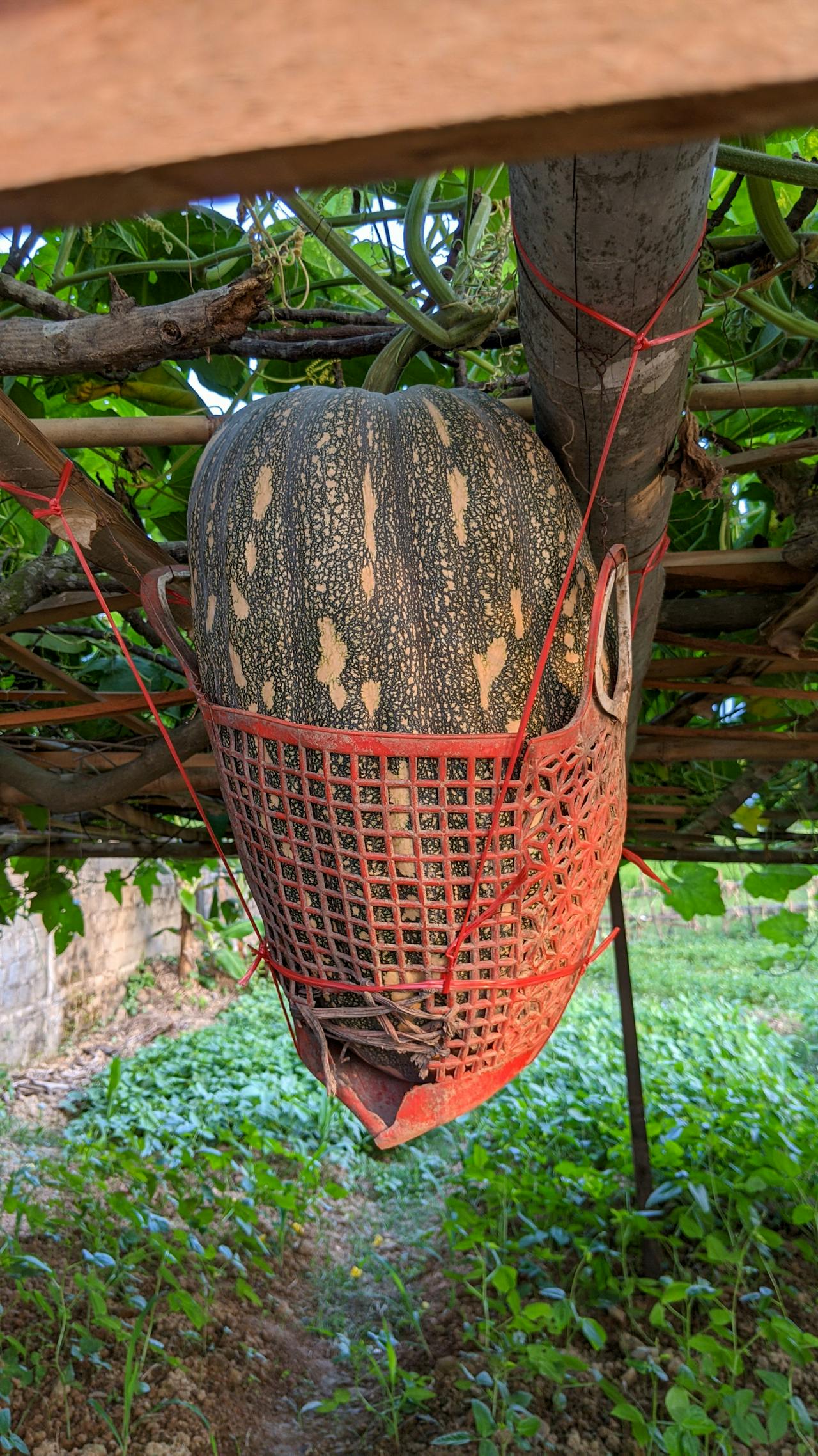 Bàn về Tây Du Ký