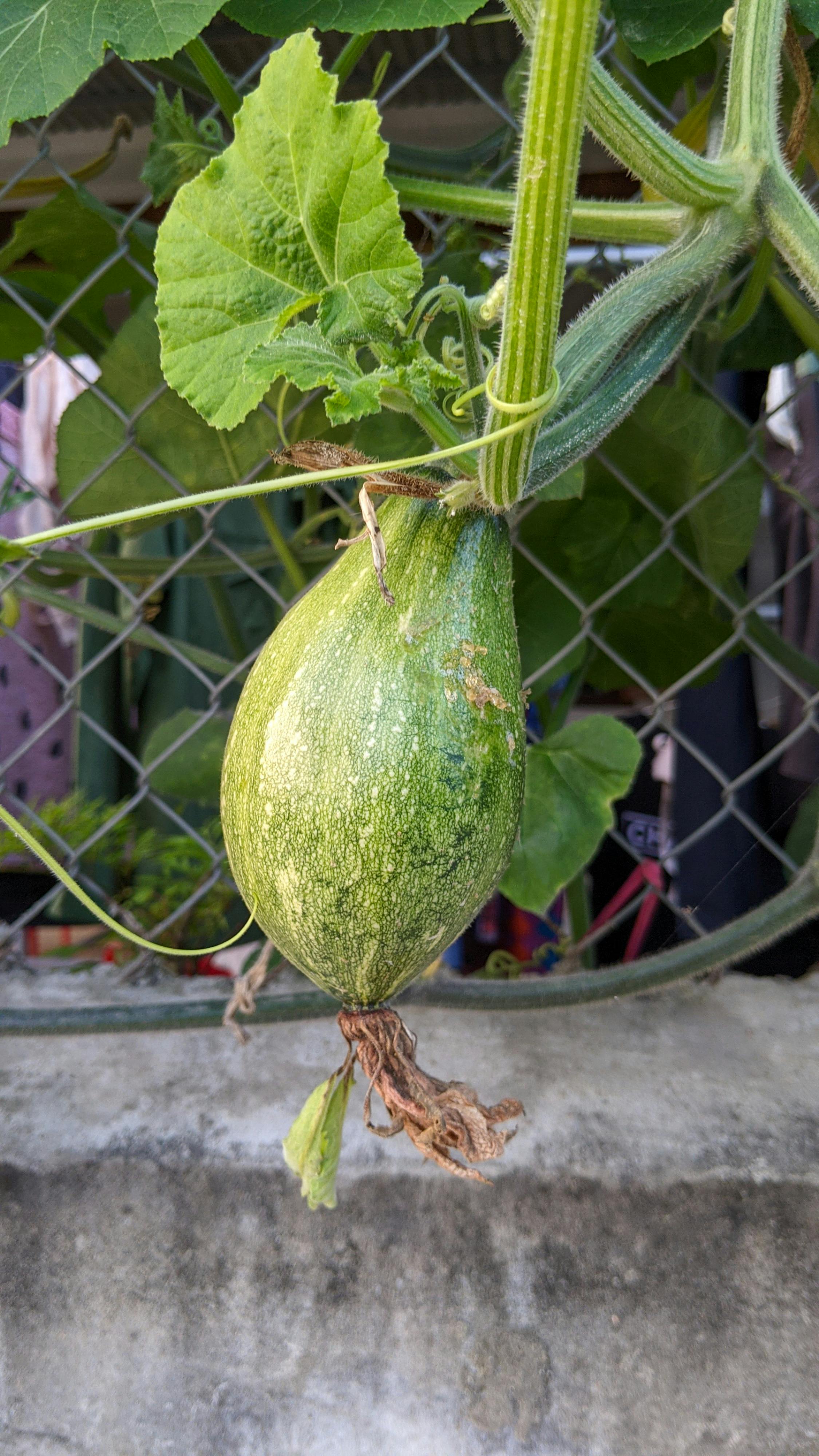 Thám tử lừng danh Conan | Chương 0460