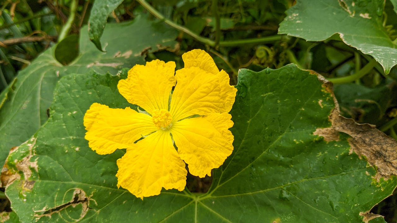 Đạo Phật của tuổi trẻ | Chương 04