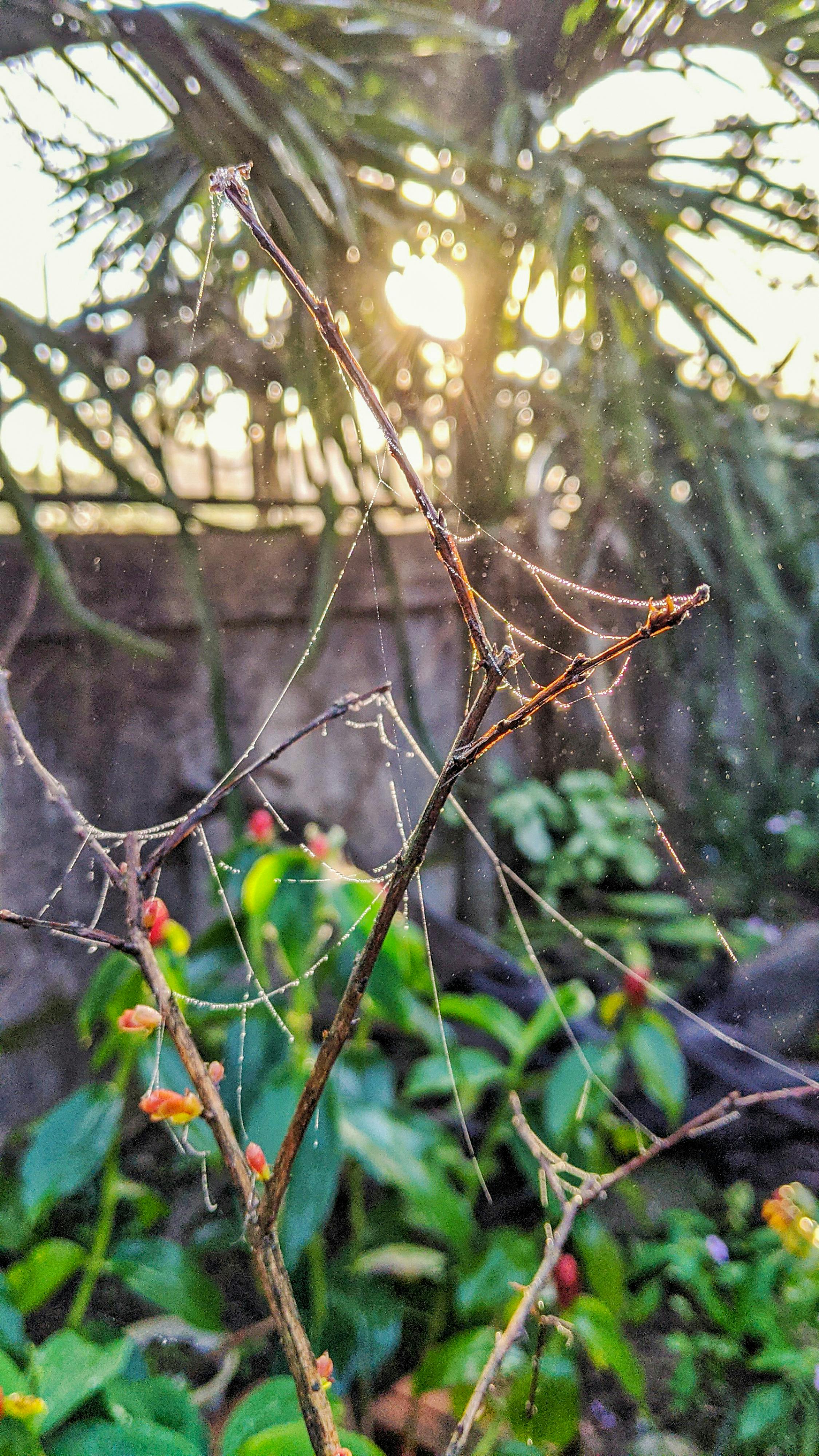 Trung tâm nghiên cứu văn học, phát triển nhà văn Việt Nam