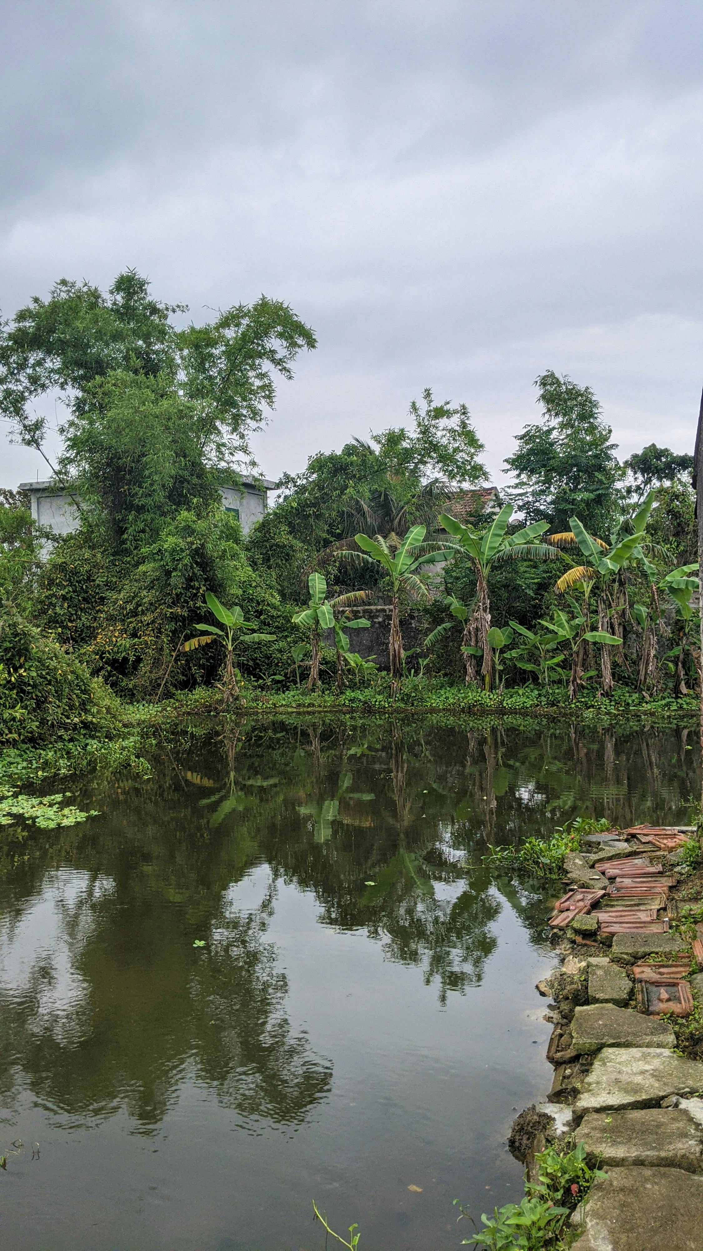 5 kiệt tác văn chương chưa đọc và cách nói về chúng 489 – tam ly hoc, gioi thieu sach, kiet tac van chuong, cuon sach chua doc, lam the nao de noi ve cuon sach chua doc, war and peace, ulysses, in search of lost time, moby dick, paradise lost, lev nikolayevich tolstoy, james joyce, marcel proust, john milton, herman melville, kiet tac chua doc.