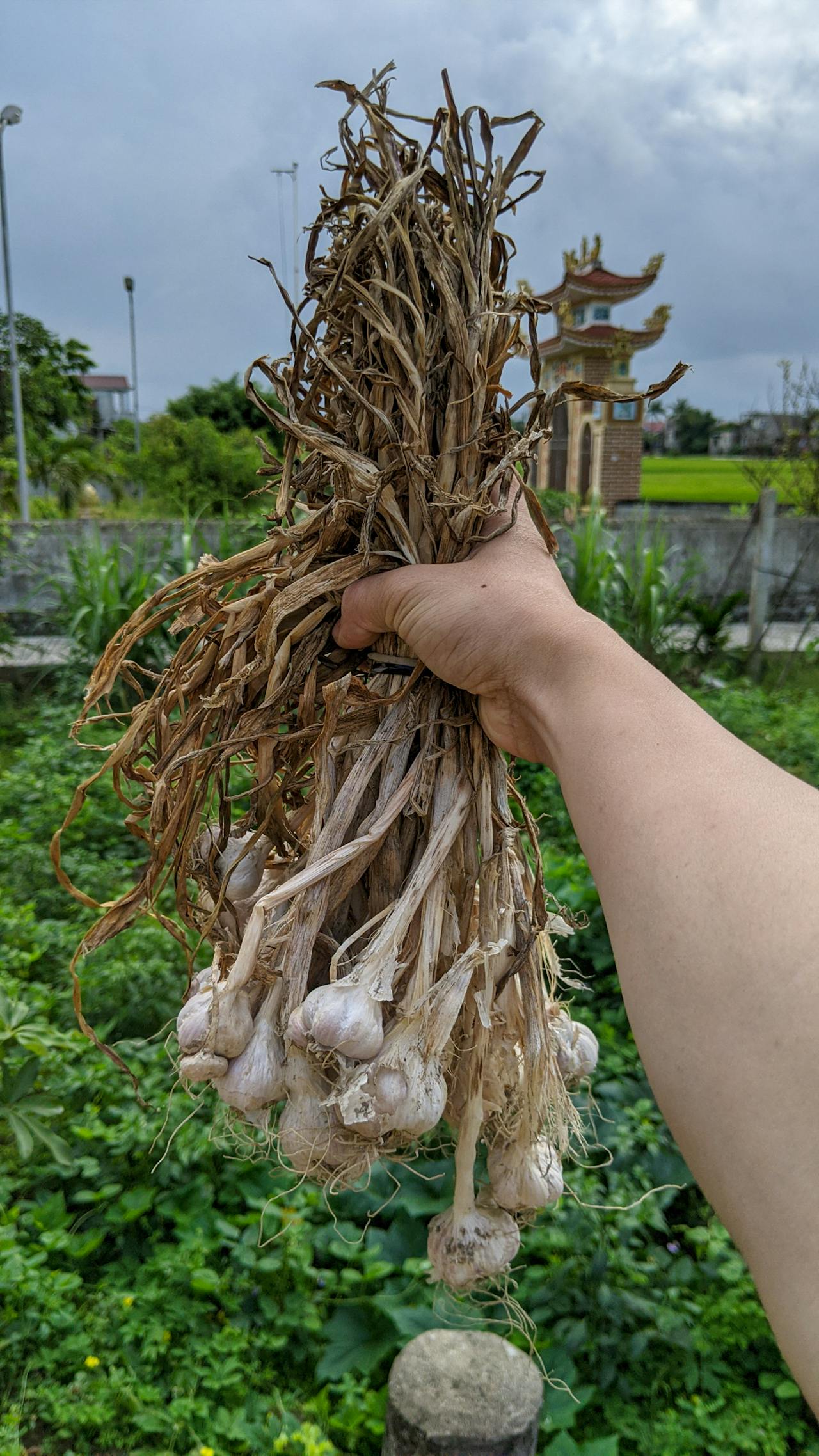 Anh hùng xạ điêu | Chương 08