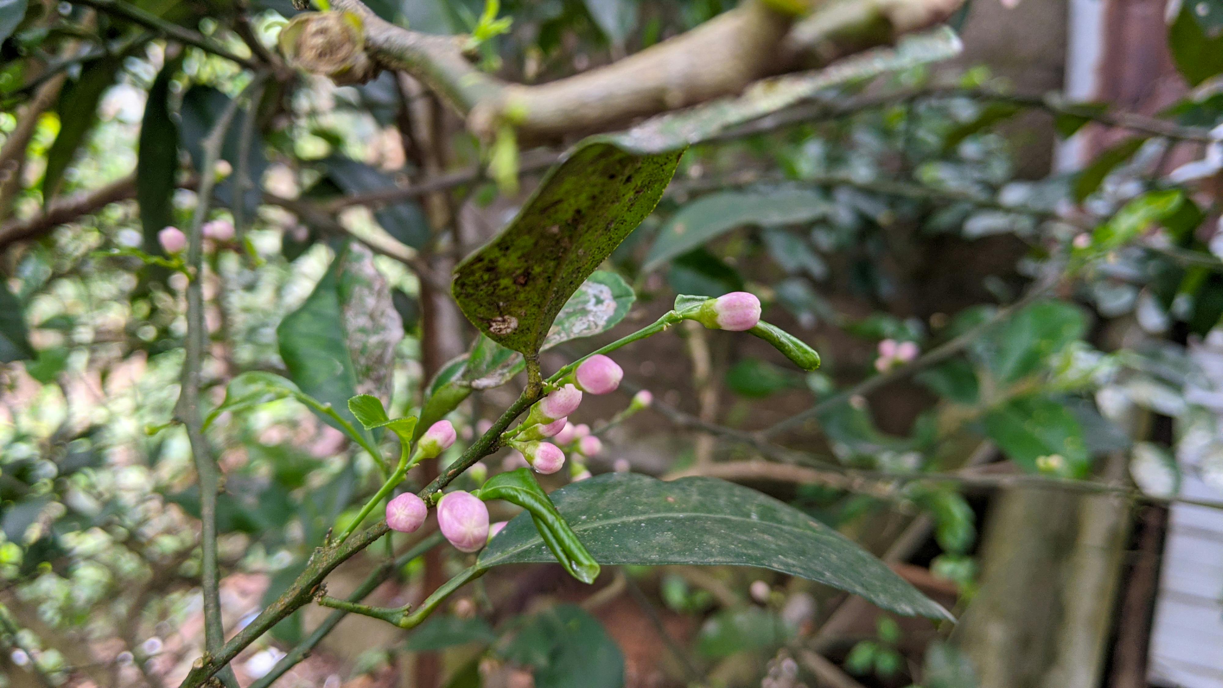Trung tâm nghiên cứu văn học, phát triển nhà văn Việt Nam