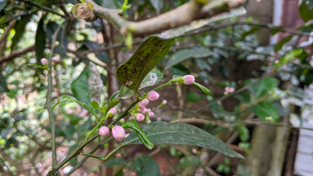 Thám tử lừng danh Conan | Chương 0540