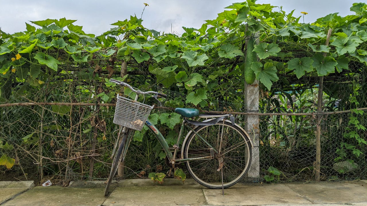 Tiểu sử nhà thơ Tố Hữu