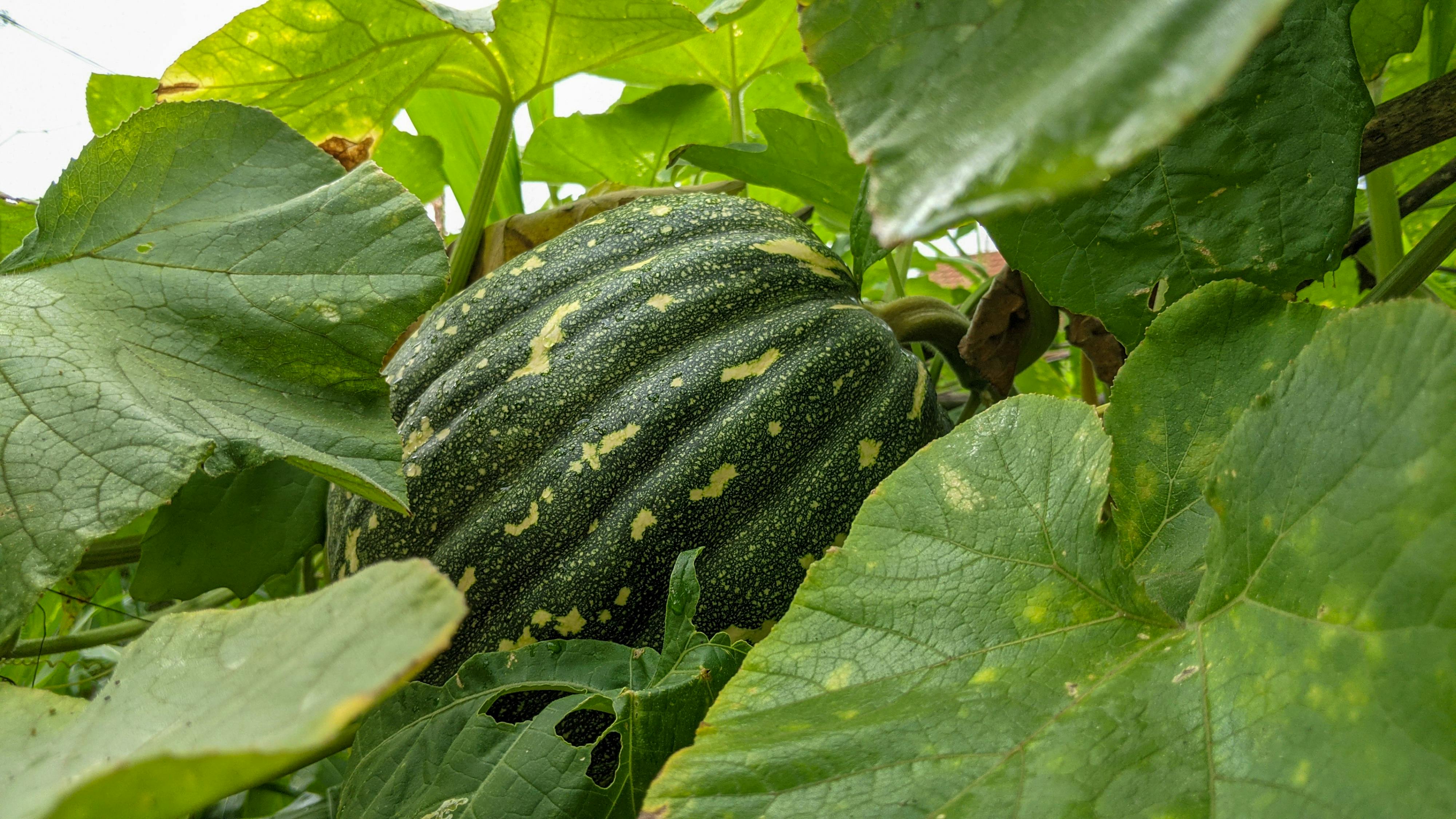 Trung tâm nghiên cứu văn học, phát triển nhà văn Việt Nam