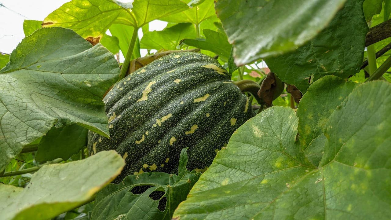 Muốn an được an | Chương 01