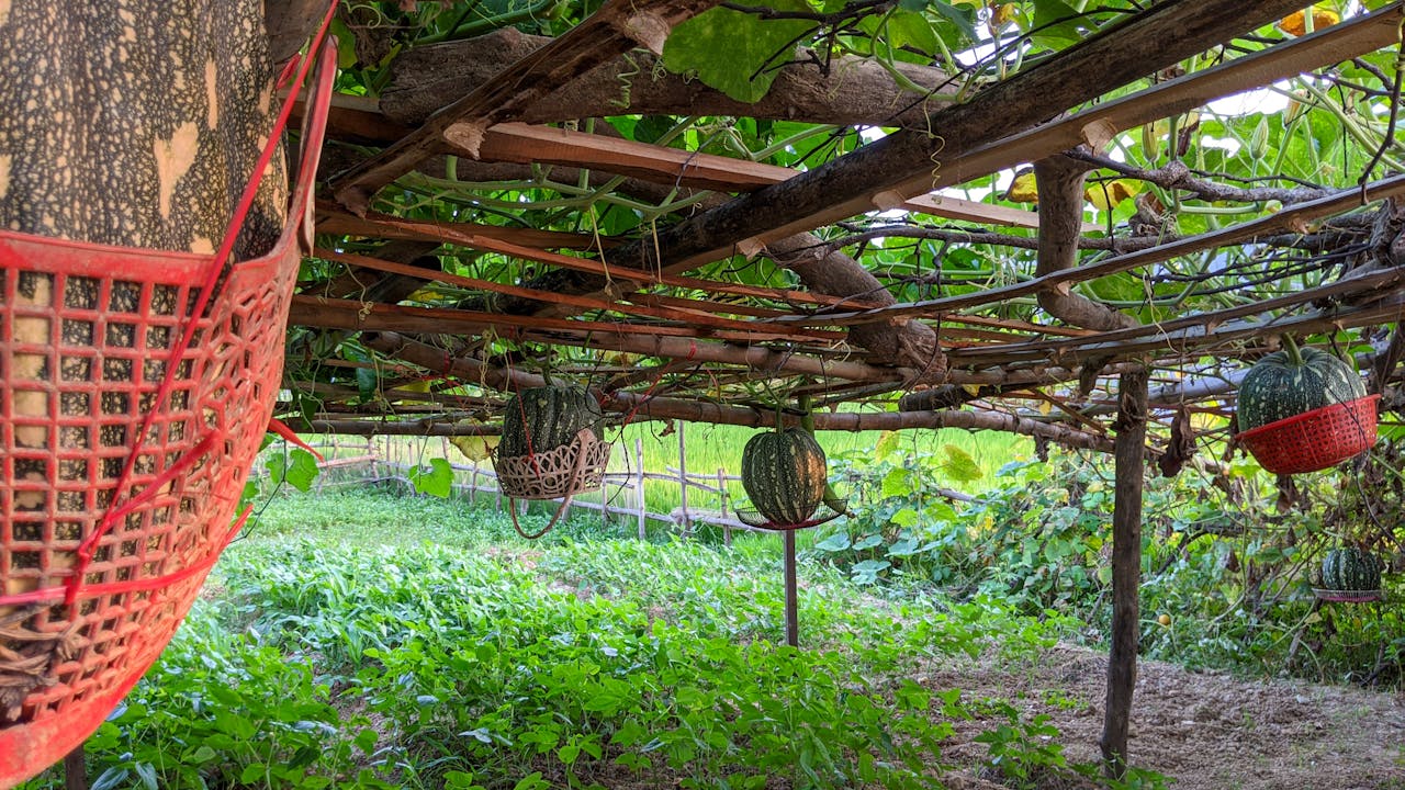 16 câu chuyện định hình vật lý thiên văn 2024