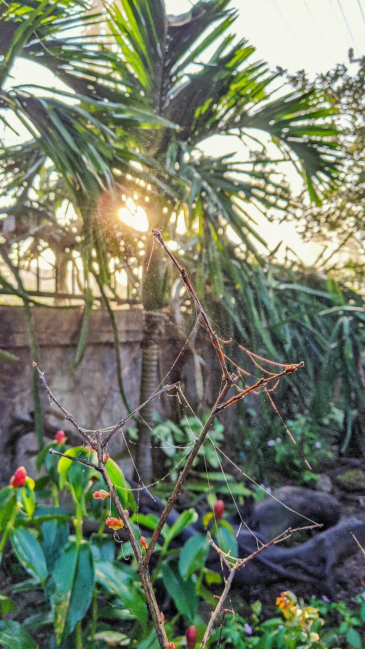 Thám tử lừng danh Conan | Chương 0370