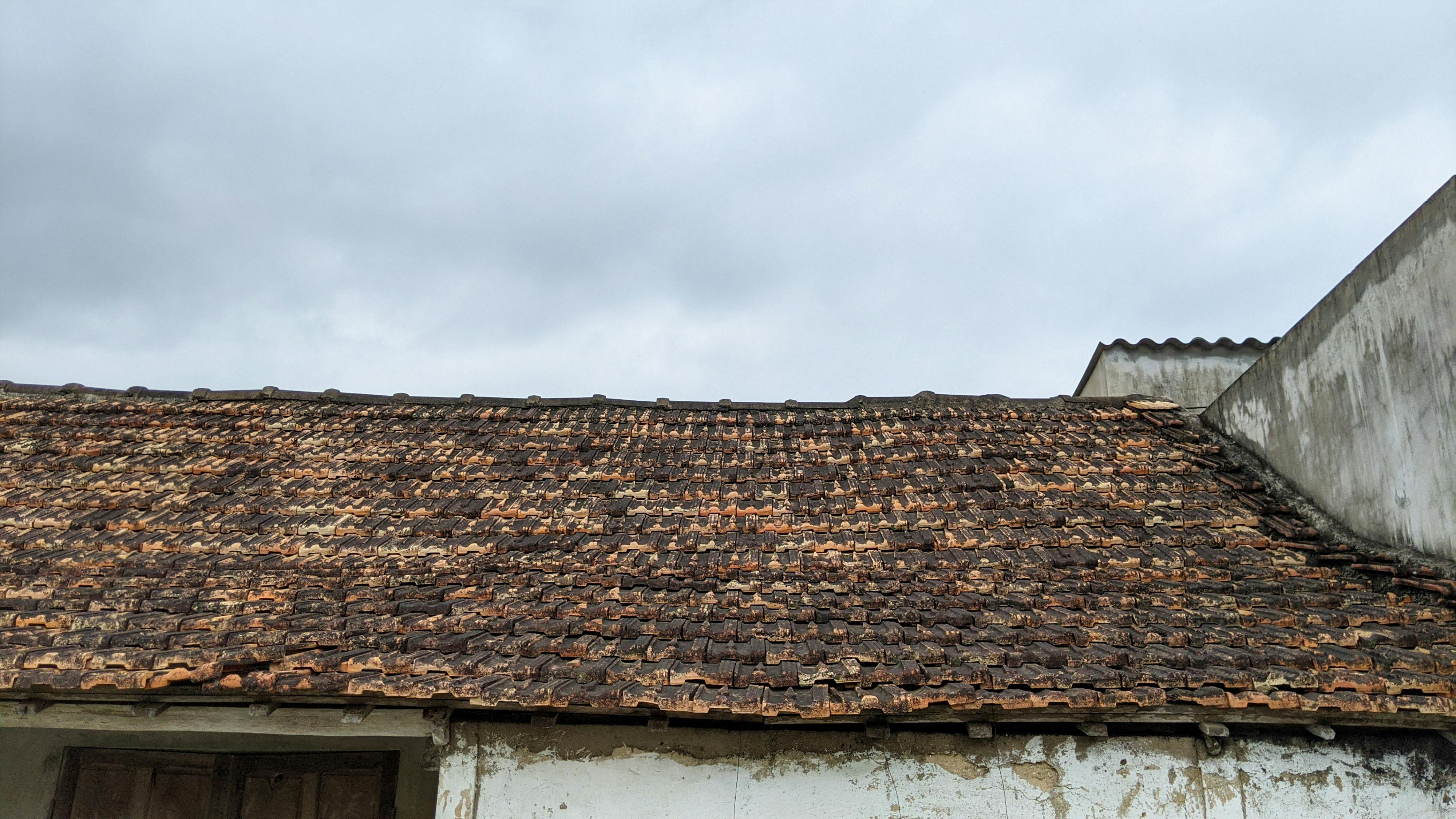 Sợ hãi | Chương 15 398 – thu vien, van hoc, van hoc viet nam, doan van, ton giao, phat giao, thien van, thuc hanh ton giao, thich nhat hanh, so hai, so hai chuong 15, so hai 15.