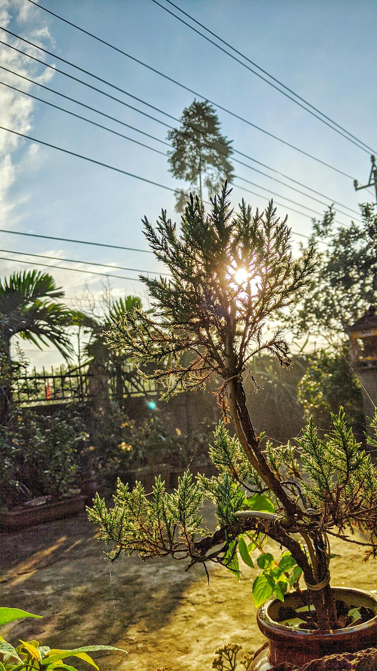 Thám tử lừng danh Conan | Chương 0659