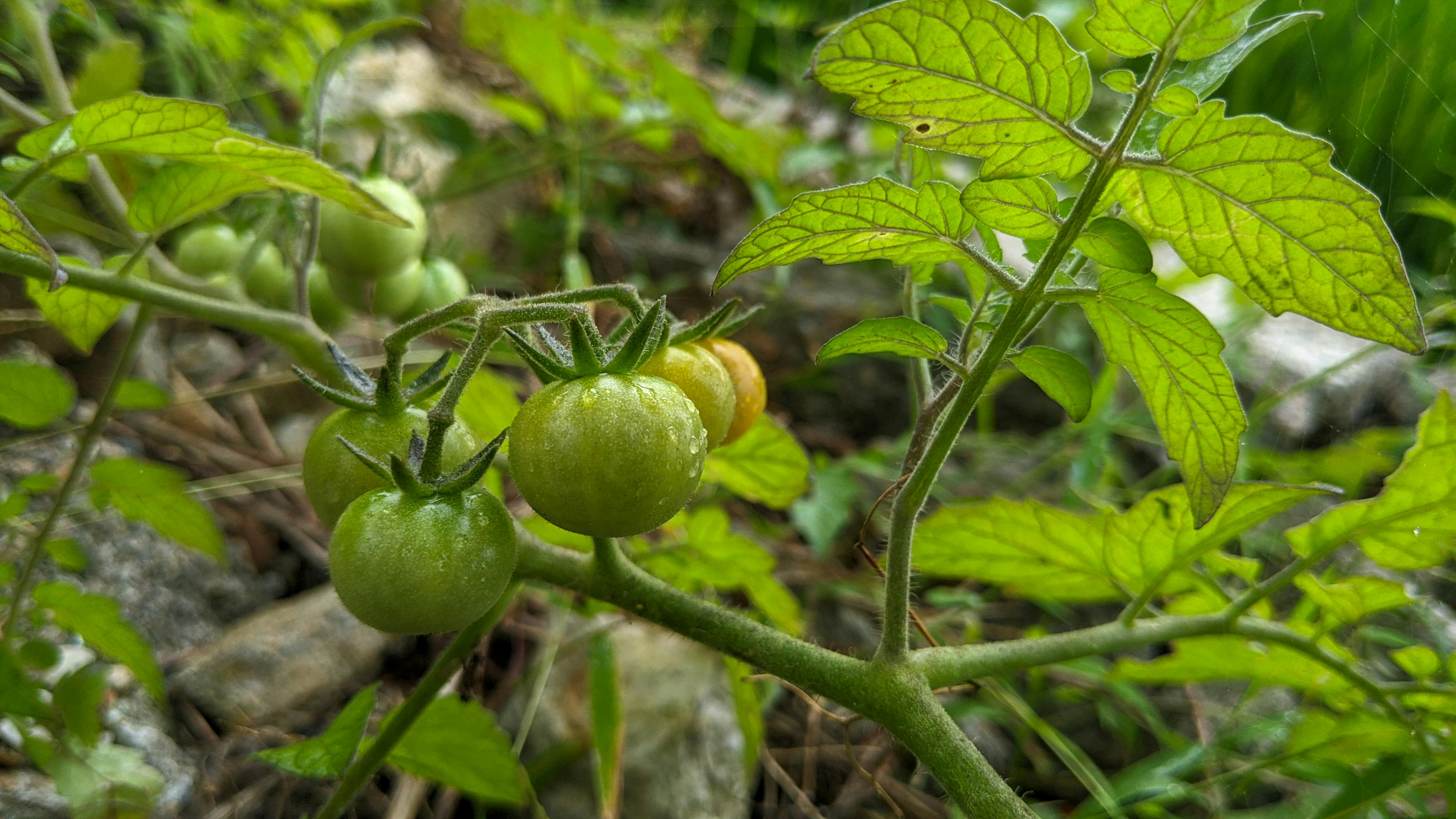 Biên niên ký chim vặn dây cót | Chương 37 663 – thu vien, van hoc, van hoc nhat ban, haruki murakami, bien nien ky chim van day cot, bien nien ky chim van day cot chuong 37, bien nien ky chim van day cot 37.