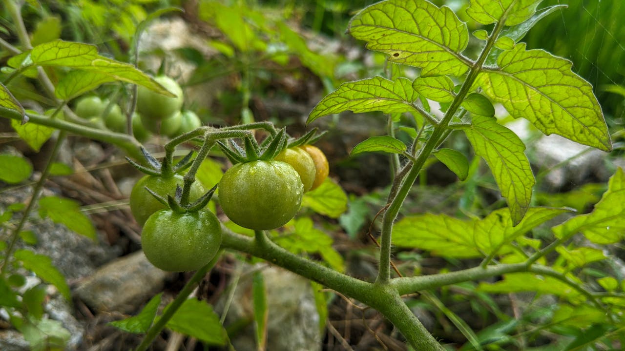 Điều gì làm cho một người trở thành anh hùng?