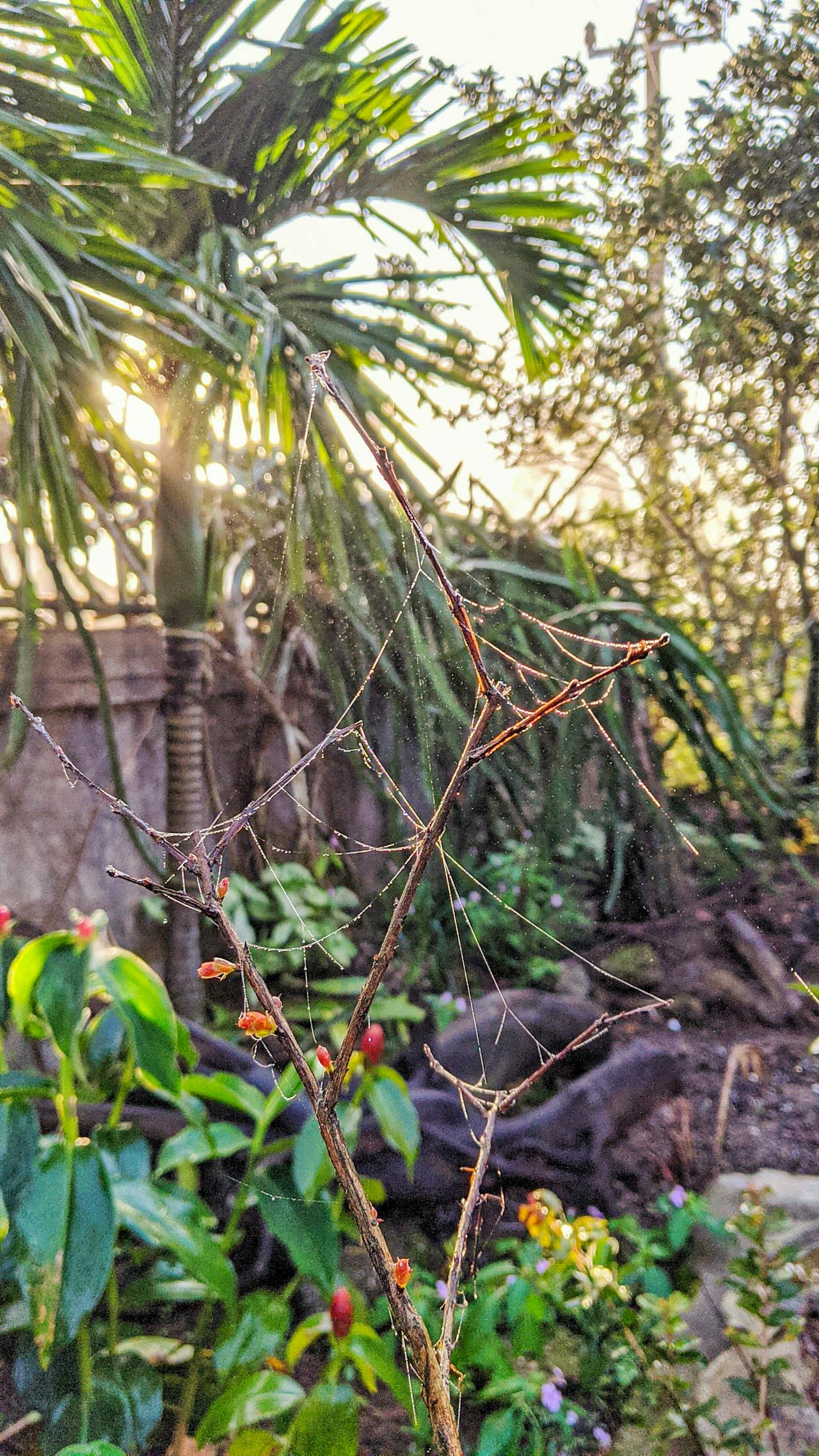 Thám tử lừng danh Conan | Chương 0029