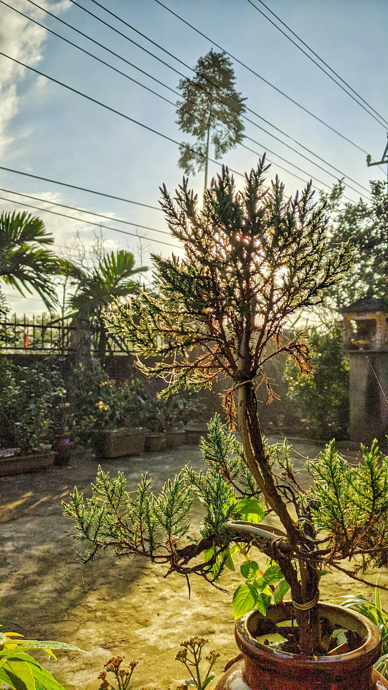 Thám tử lừng danh Conan | Chương 0576