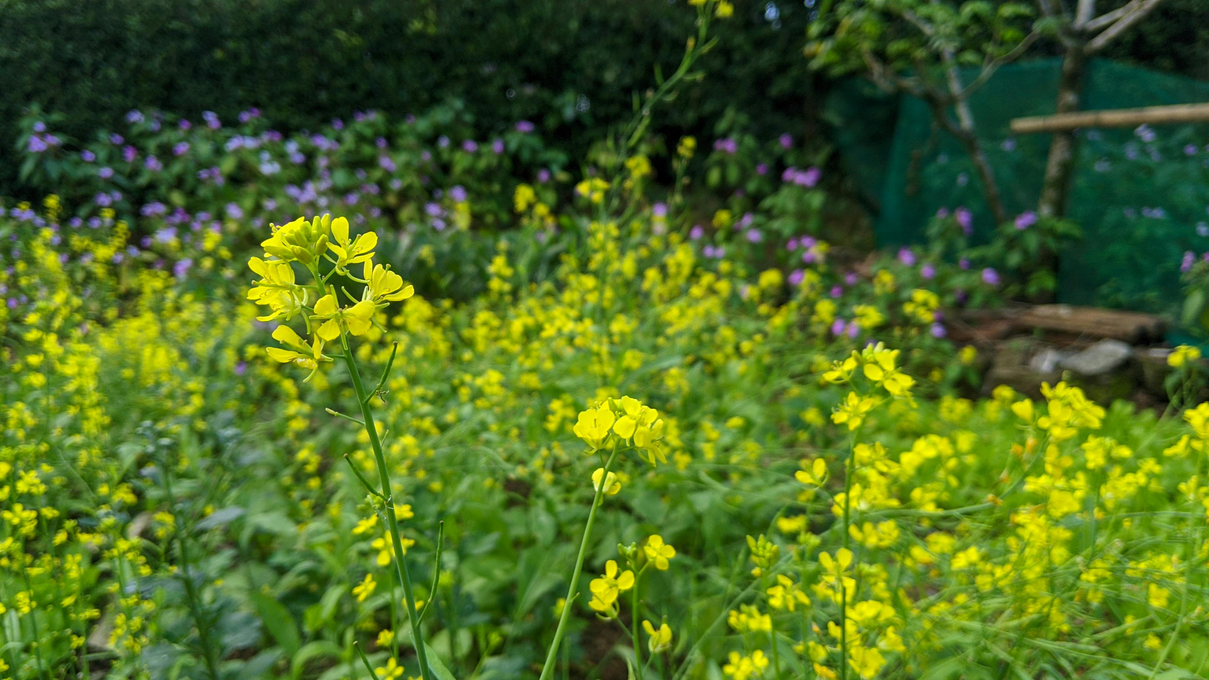 Tuổi hai mươi yêu dấu 601 – thu vien, van hoc, van hoc viet nam, tho ca, nguyen huy thiep, truyen ngan, tuoi hai muoi yeu dau.