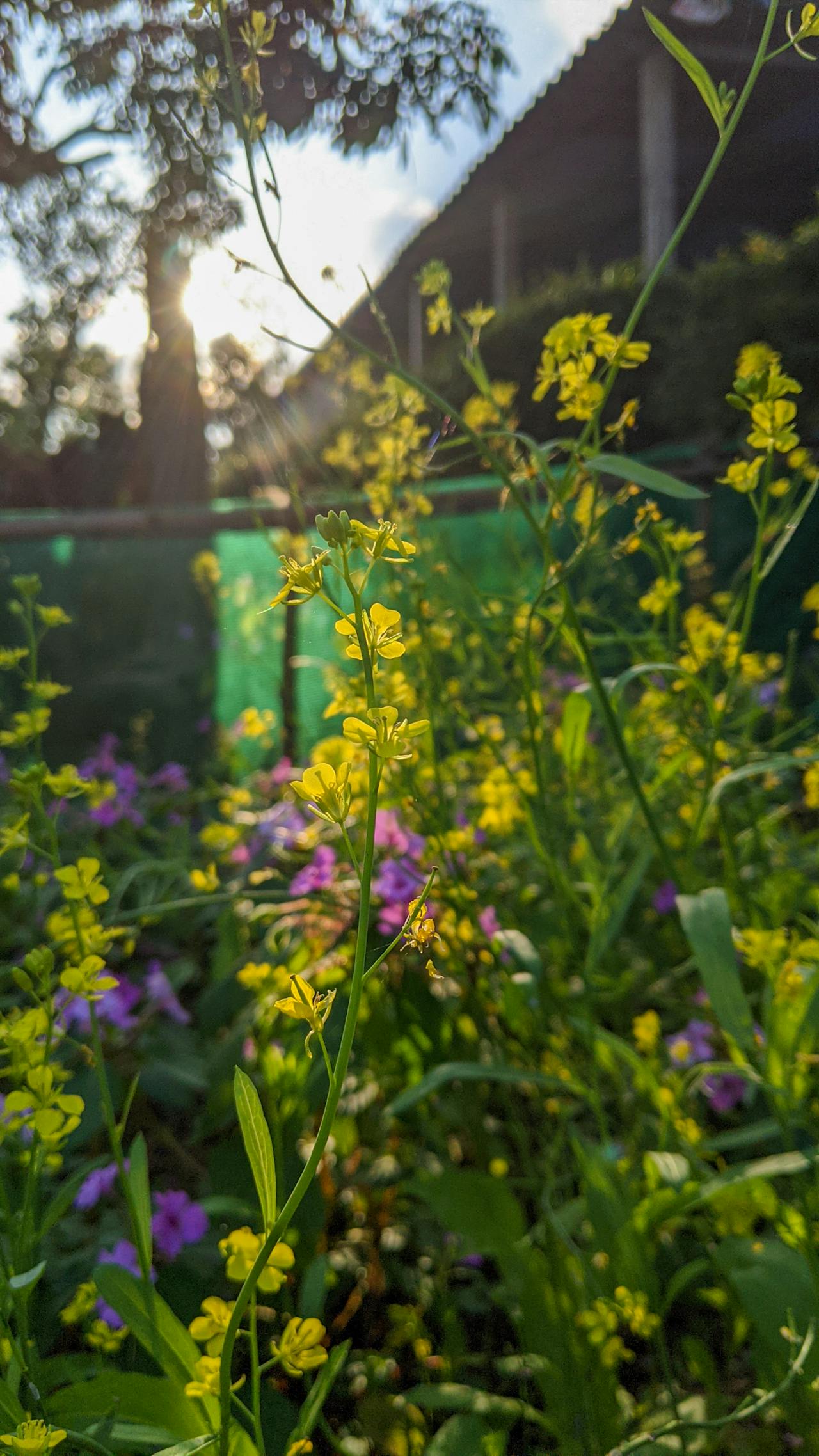 Có tồn tại cảm xúc tiêu cực không?