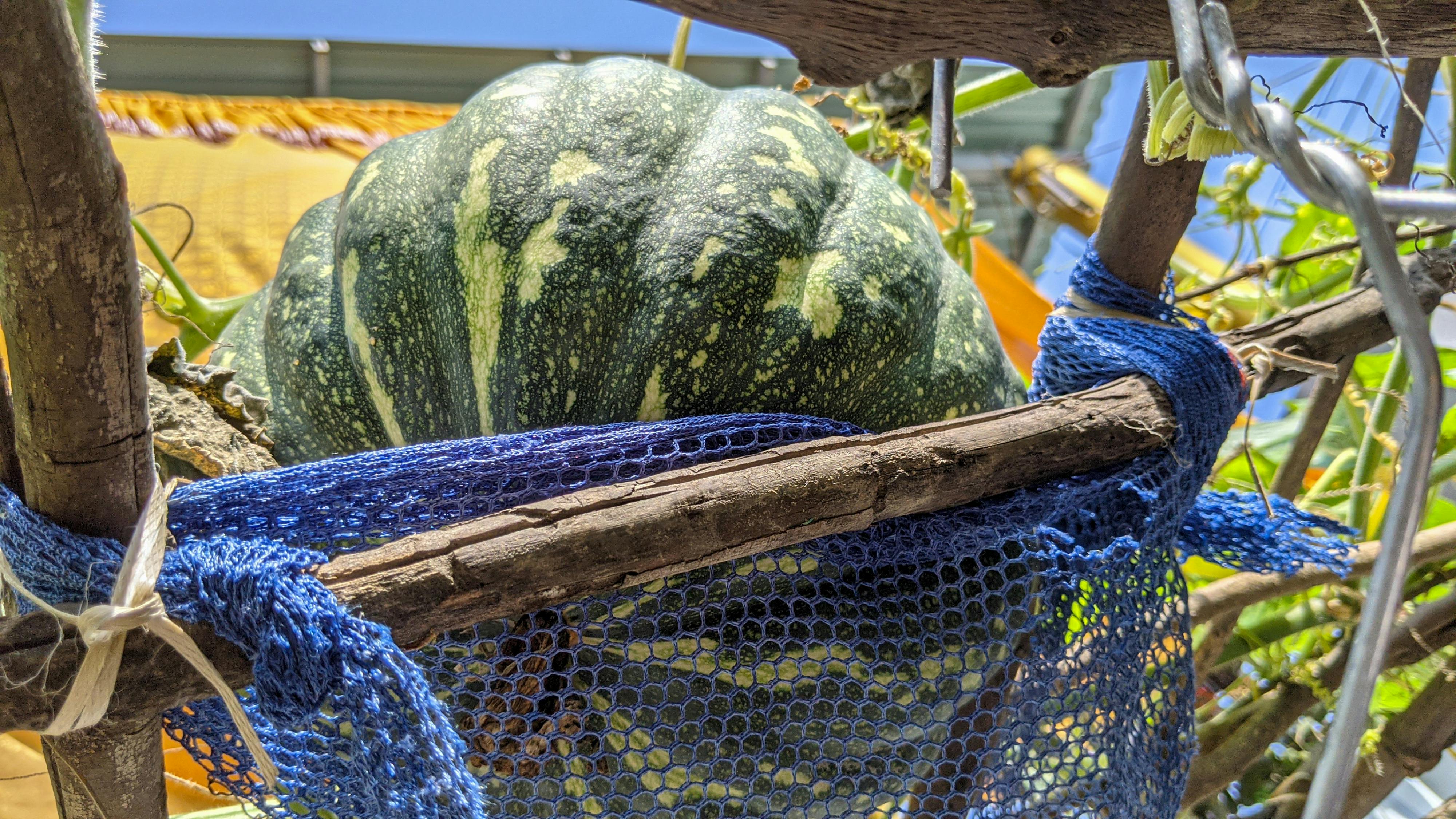 Chim lửa | Chương 19 867 – manga, tezuka osamu, hi no tori, chim lua, phoenix, bird of fire, chim lua chuong 19, chim lua 19.