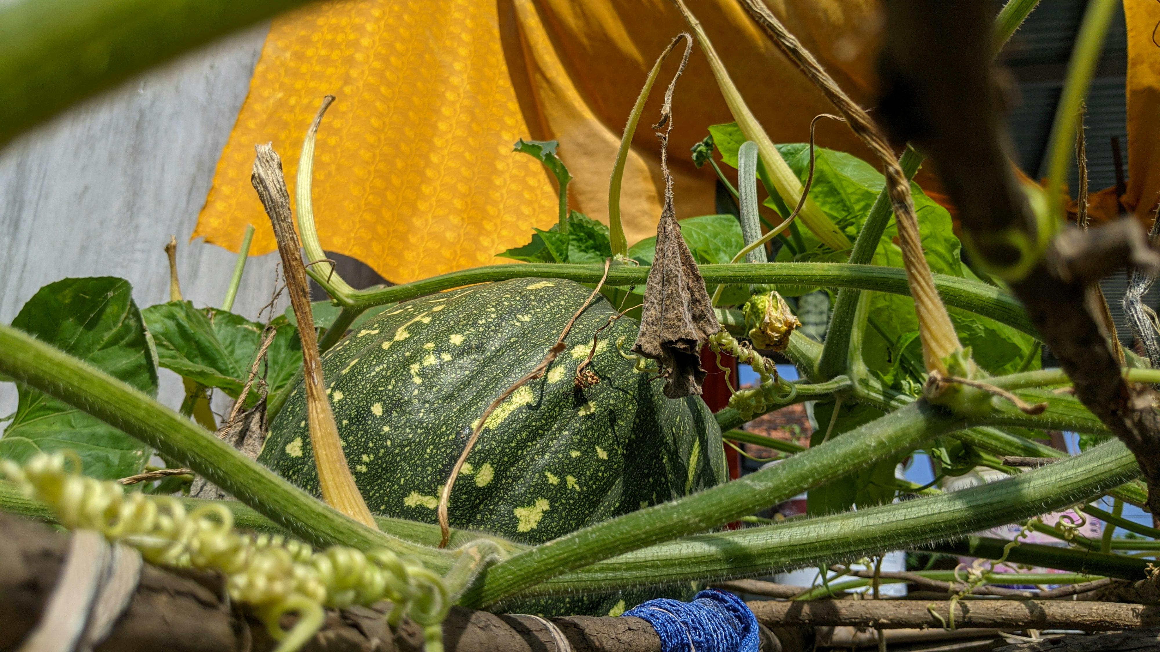 5 cuốn sách triết học đã định hình tư tưởng Trung Hoa 107 – tam ly hoc, ton giao, phat giao, triet hoc, triet hoc trung hoa, tu tuong trung hoa, triet hoc trung quoc, dao duc kinh, binh phap ton tu, kinh dich, luan ngu, kiet tac triet hoc trung quoc.