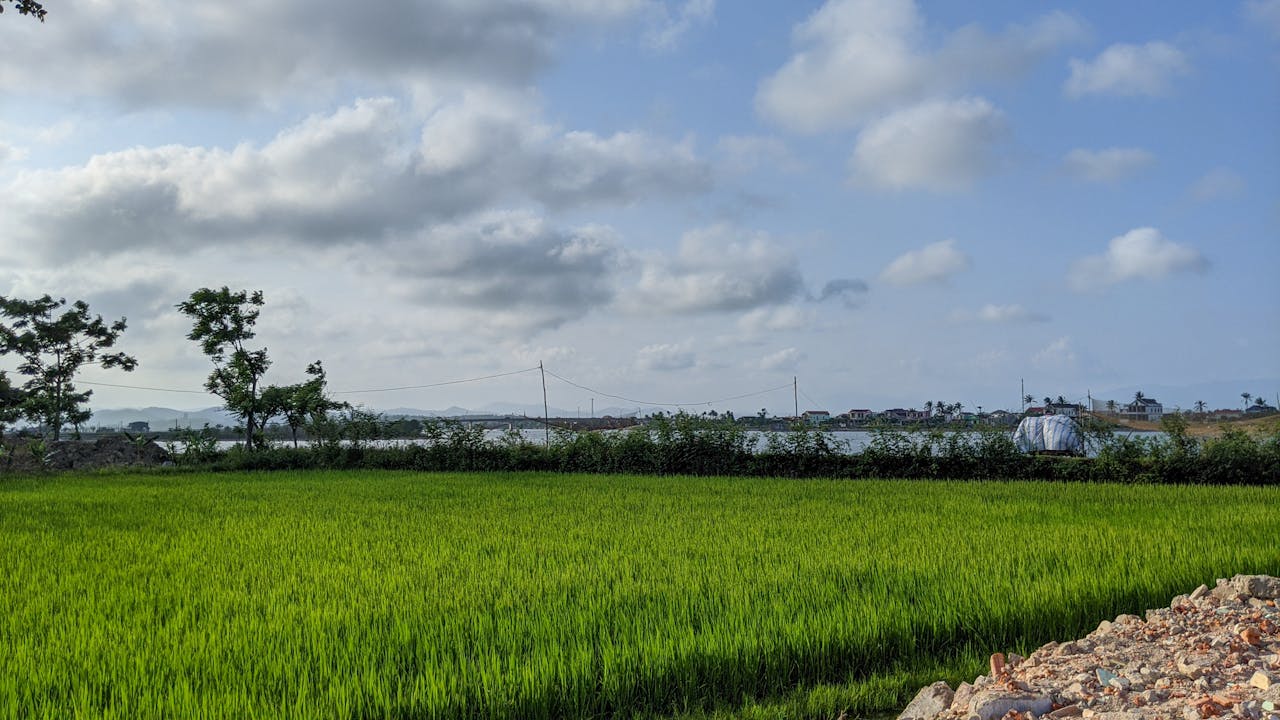 6 đặc điểm tạo nên nhà văn giỏi