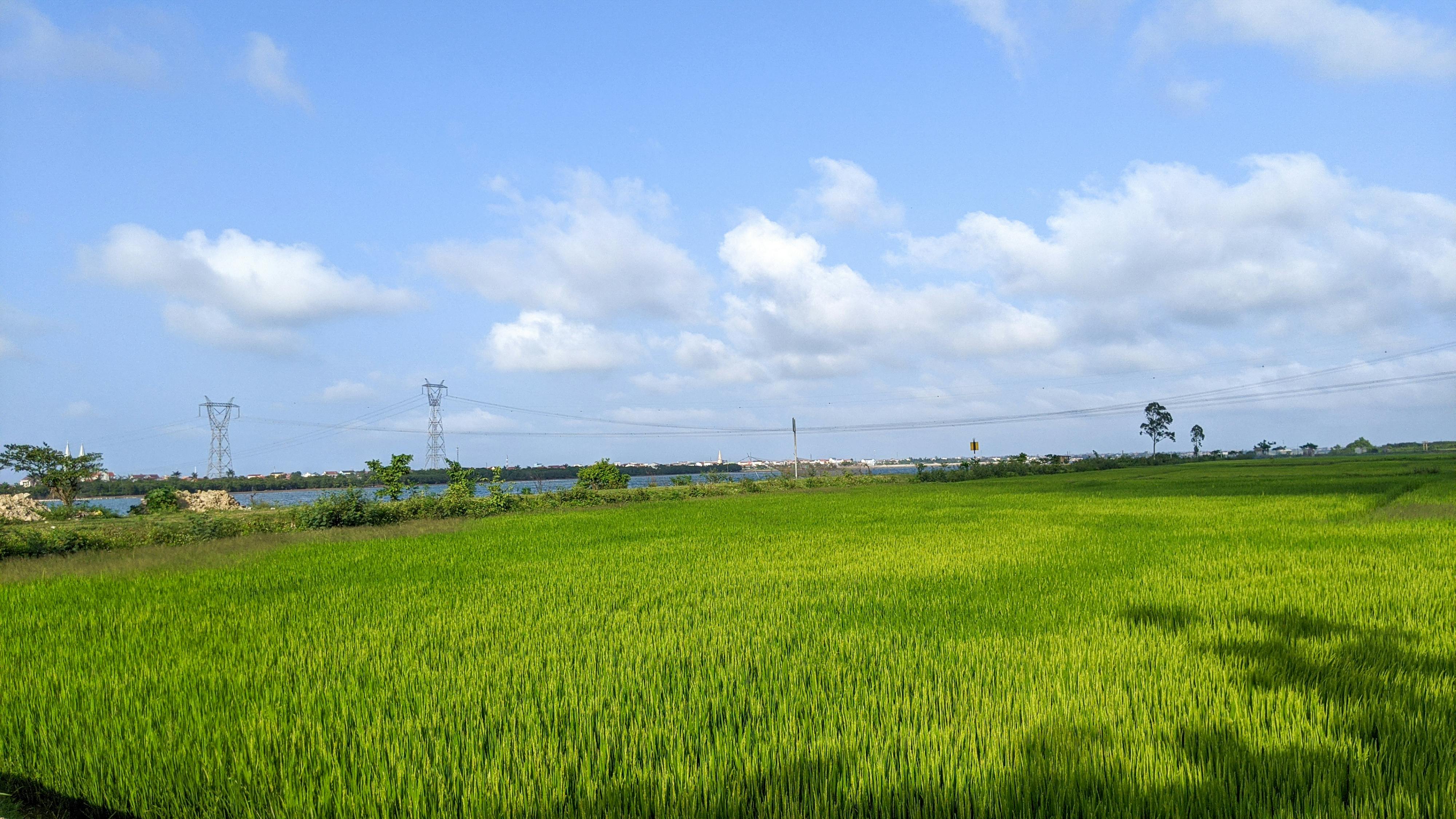 Trung tâm nghiên cứu văn học, phát triển nhà văn Việt Nam