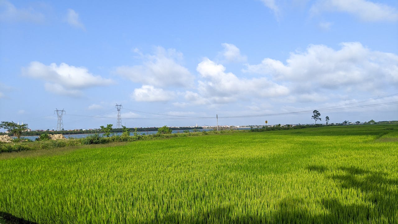 Sử dụng hồi tưởng để làm sâu sắc câu chuyện