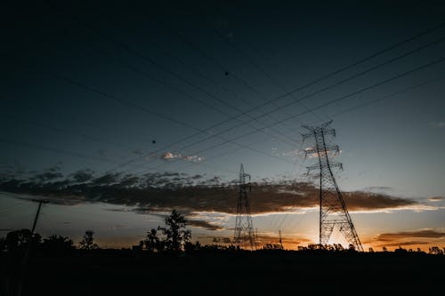 Silhouette of Electric Posts