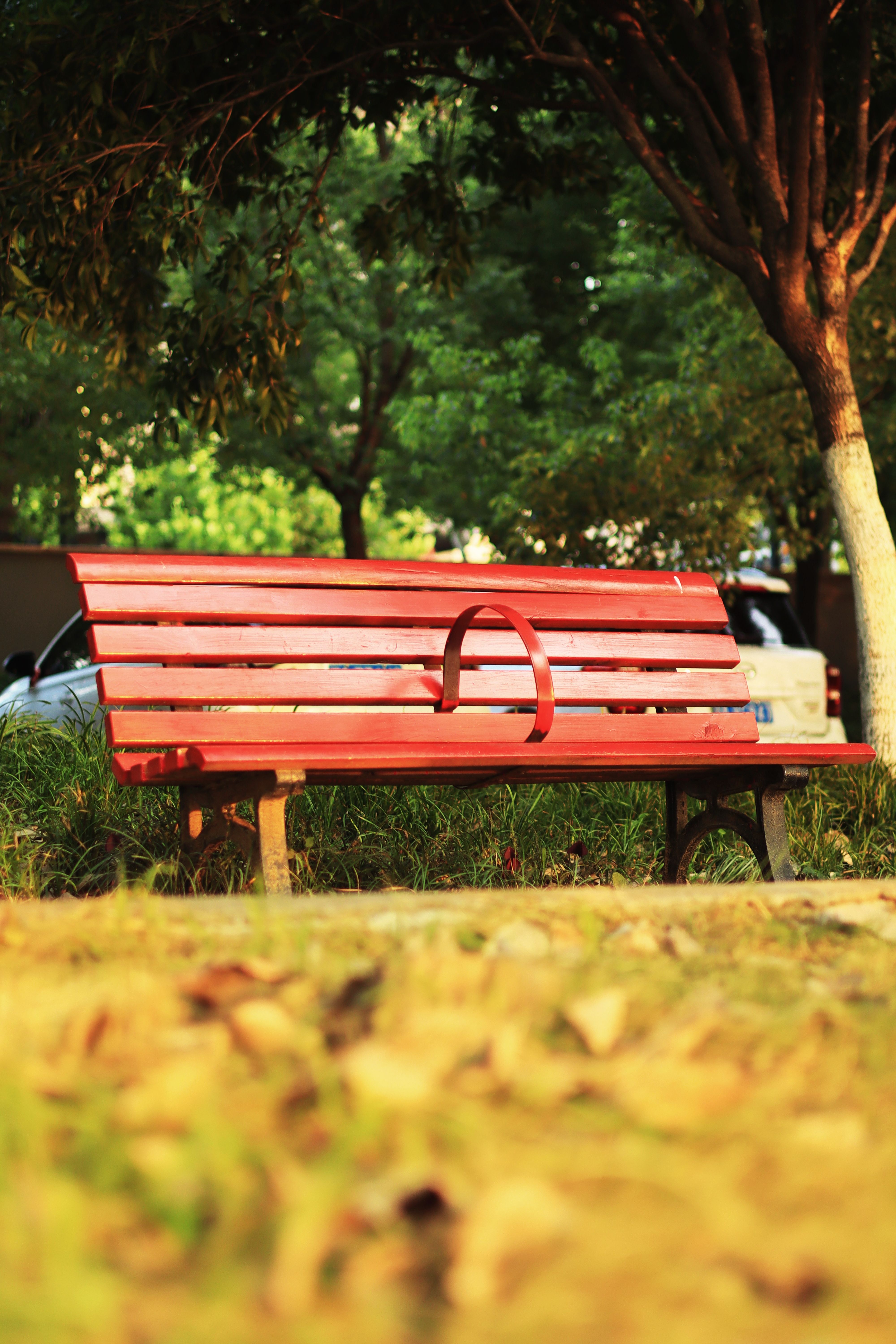 Person Sitting On Brown Wooden Bench · Free Stock Photo