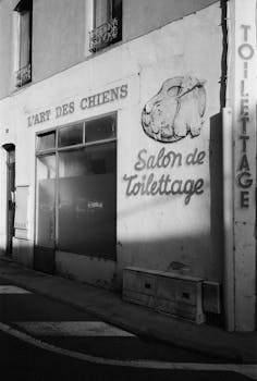 The facade of a pet grooming shop in Tournon-sur-Rhône, France, captured in black and white.