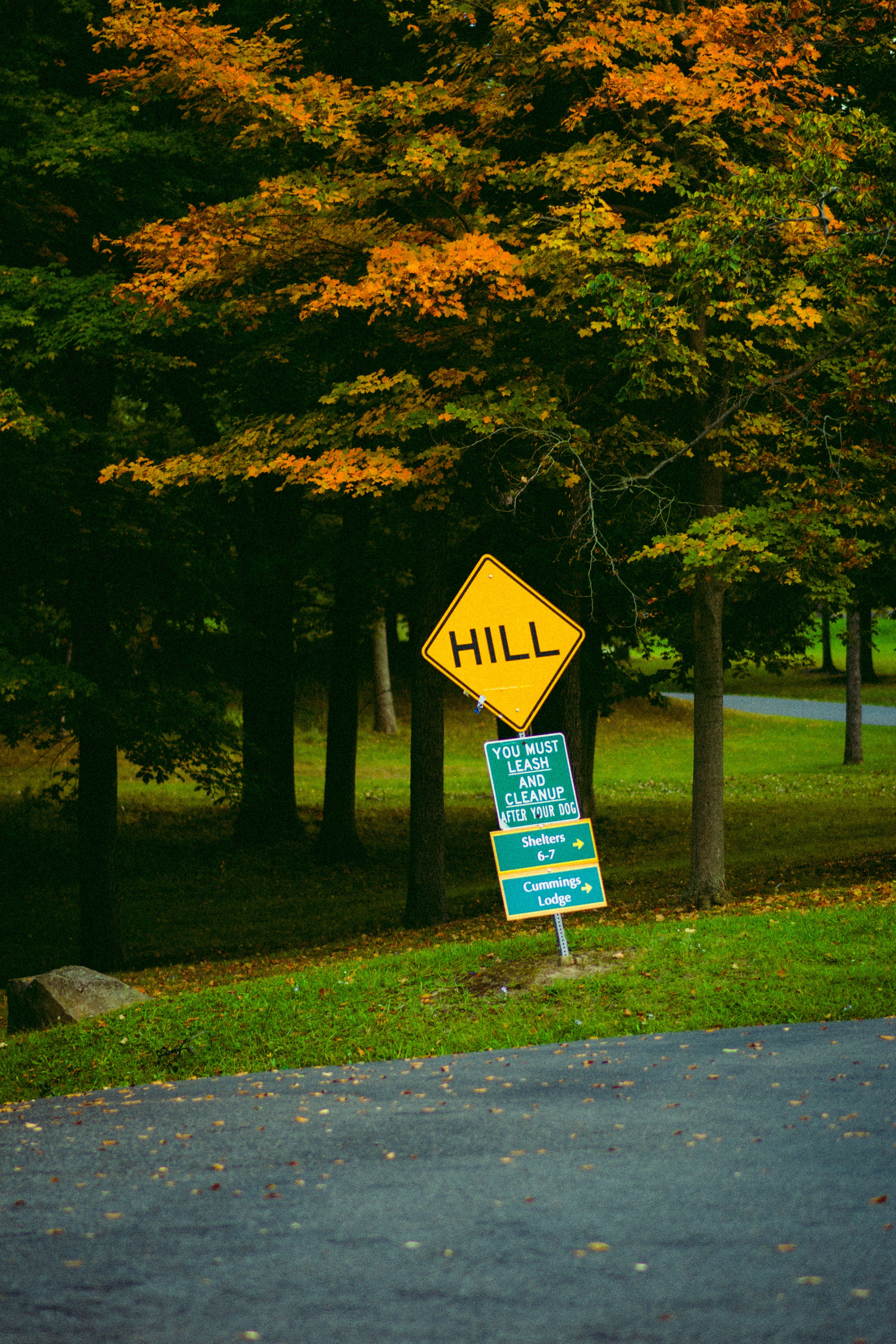 A yellow hill sign amidst autumn foliage, conveying a serene natural setting.