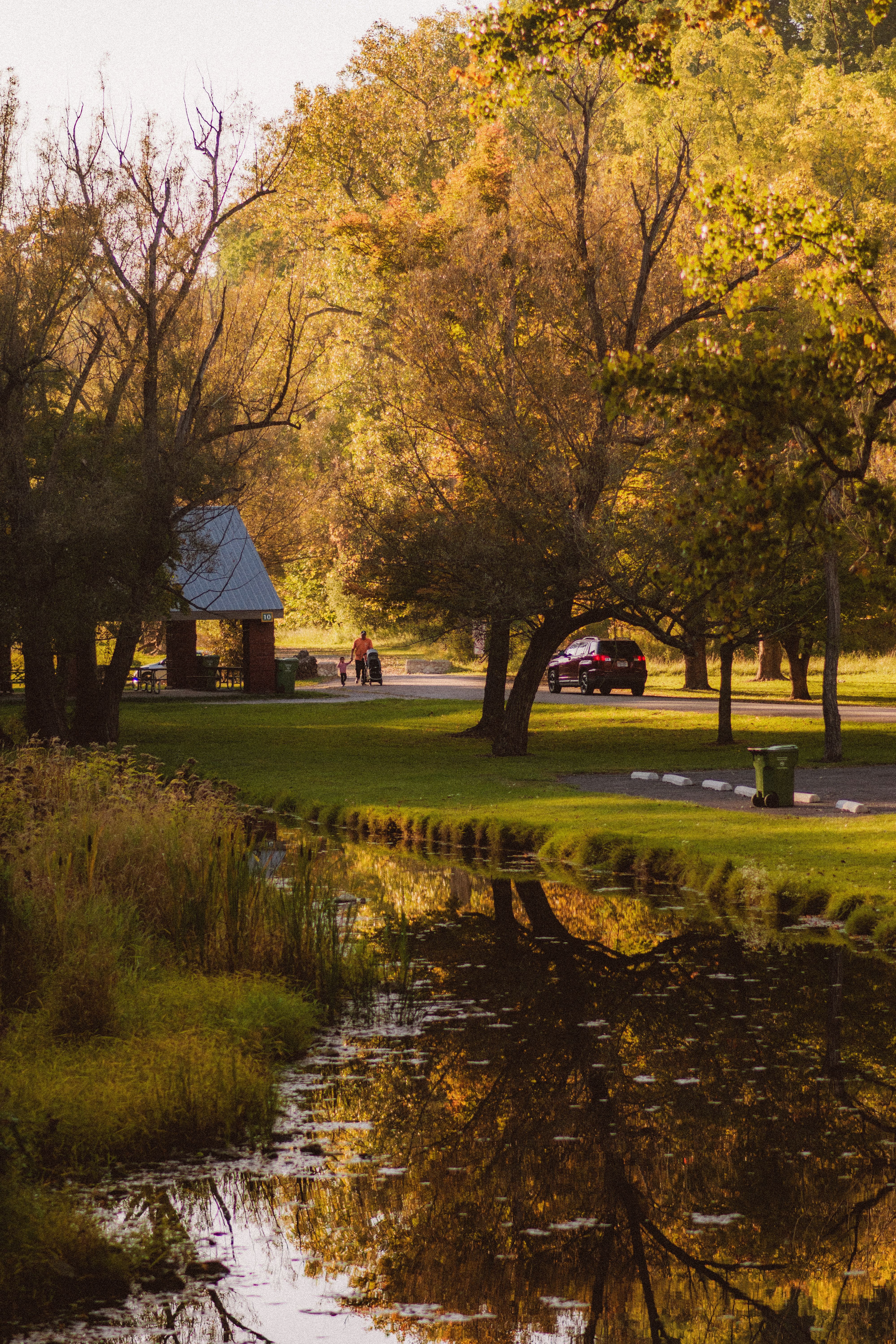 Serene Autumn Park with Reflective Pond · Free Stock Photo