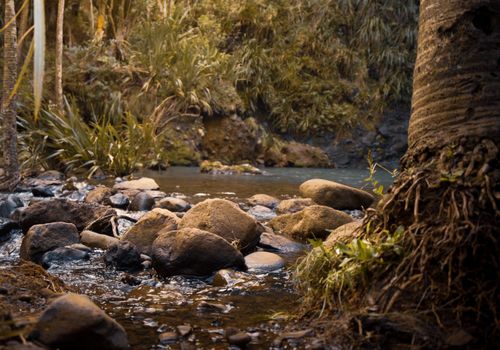Hangi dinner + Māori concert — Rotorua