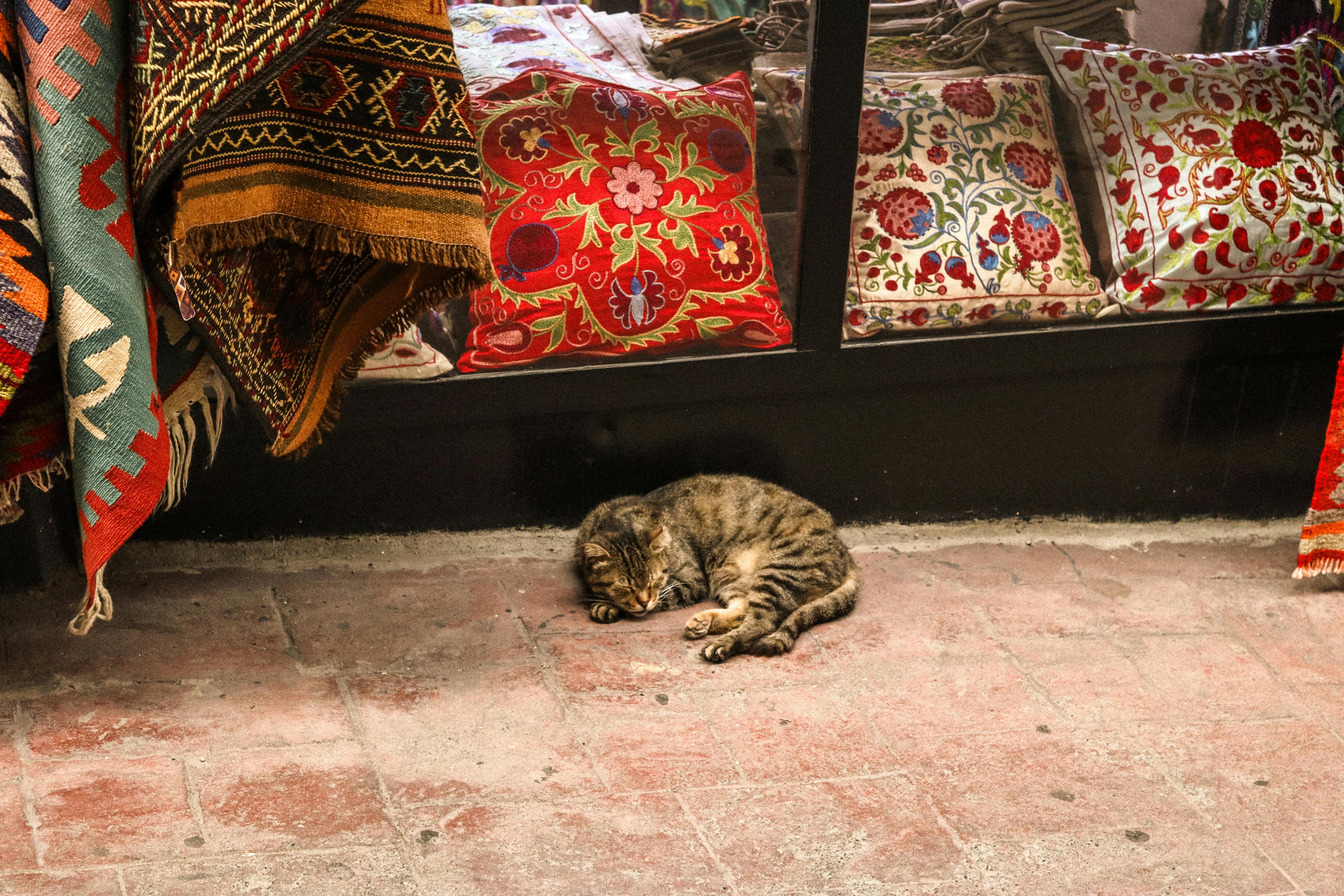  beginner rangoli ideas for youth