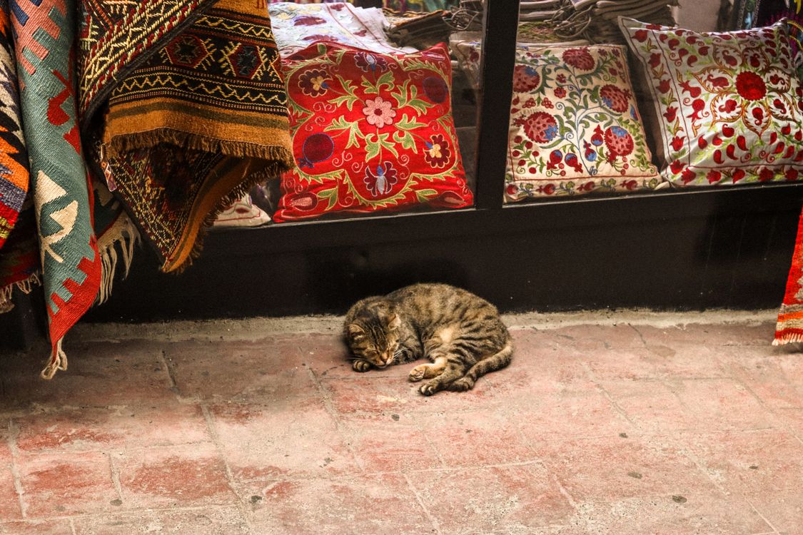 Free A tranquil street scene with a cat napping near vibrant woven textiles and embroidered pillows. Stock Photo