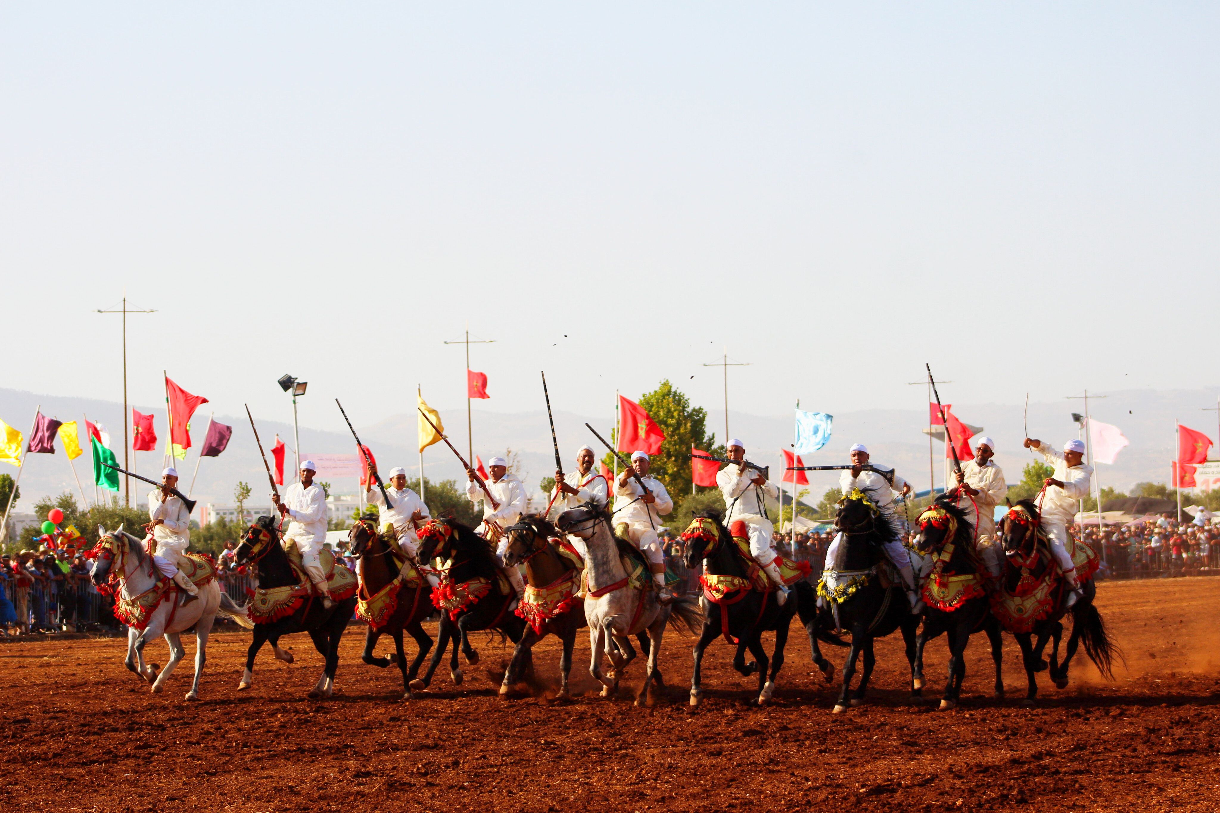 Traditional riders perform a cavalry show with vibrant flags at an outdoor festival.