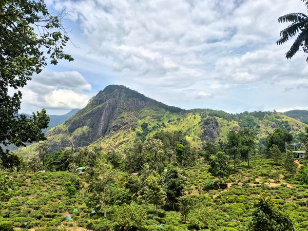 6 Days Sri Lanka Tour Package | Kandy, Nuwara Eliya, Ella, Bentota & Colombo - Stays