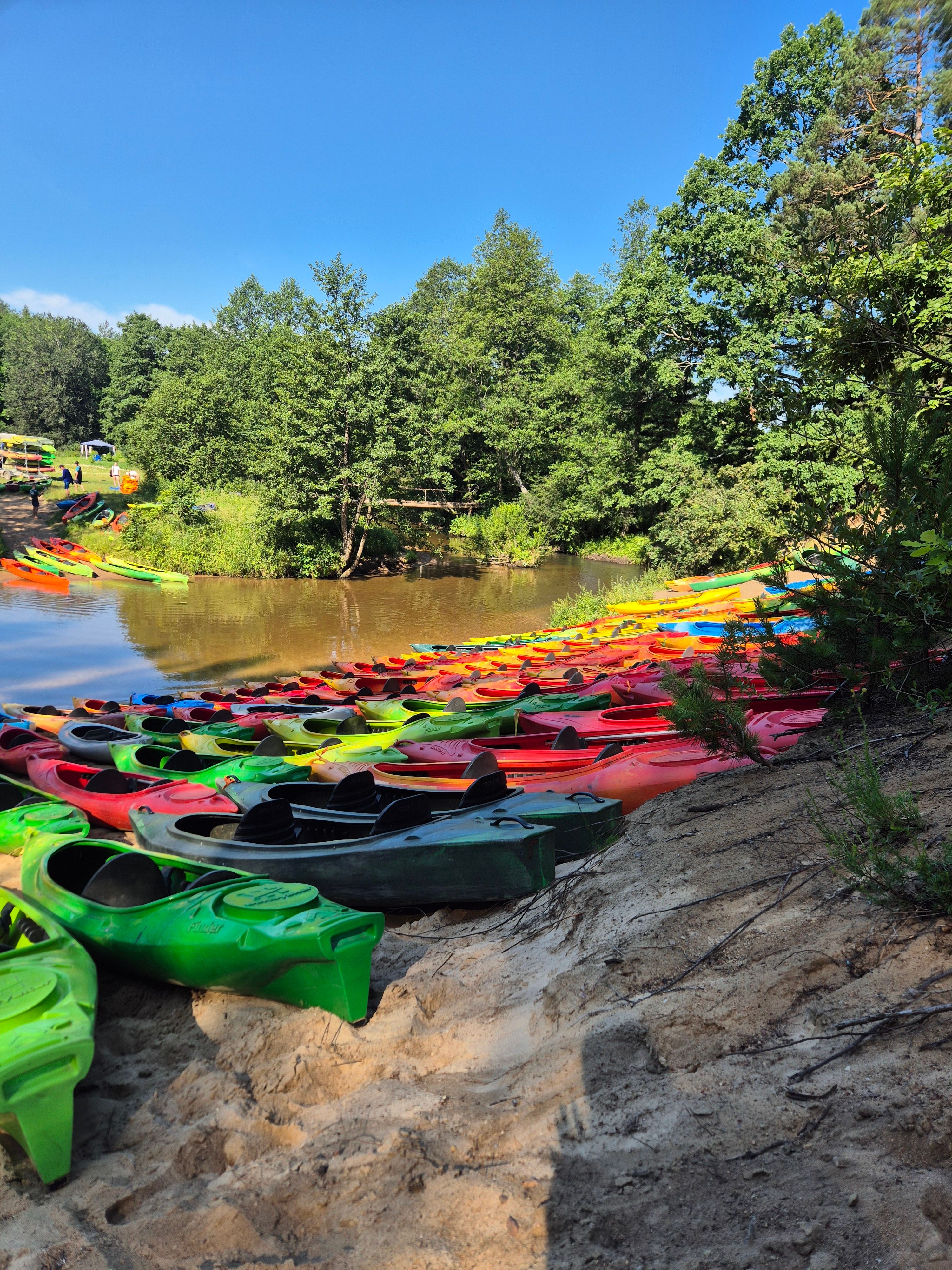 Vibrant kayaks rest along a serene lakeside surrounded by lush green forest, perfect for adventure seekers.